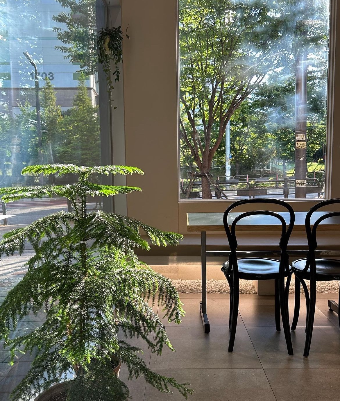 사랑해베이글 화성향남점