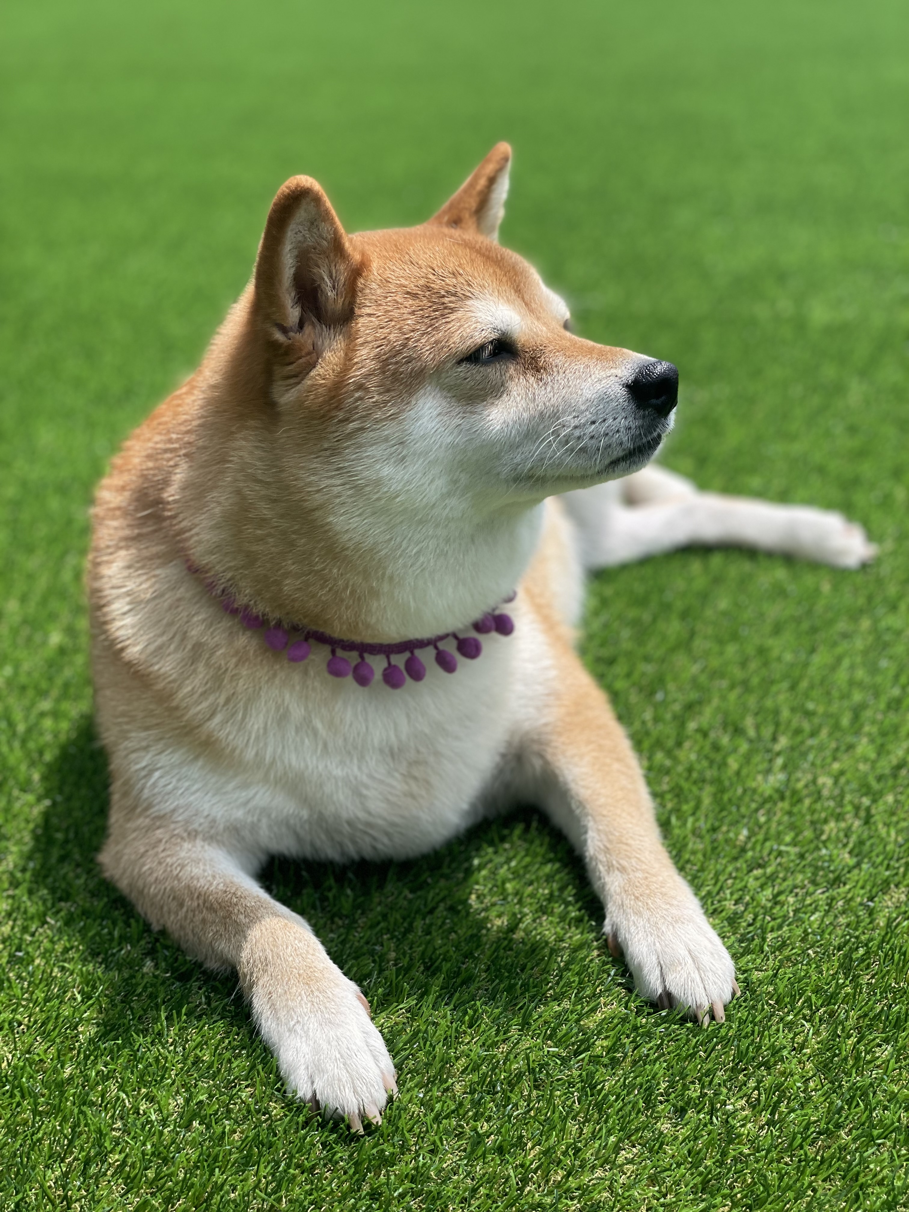 우다다 2
