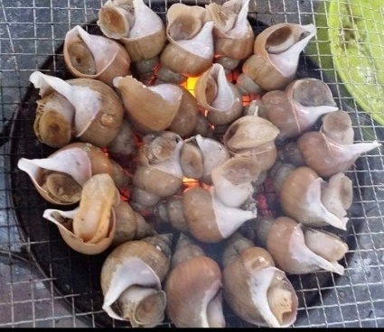 숙이네건어물&포차
