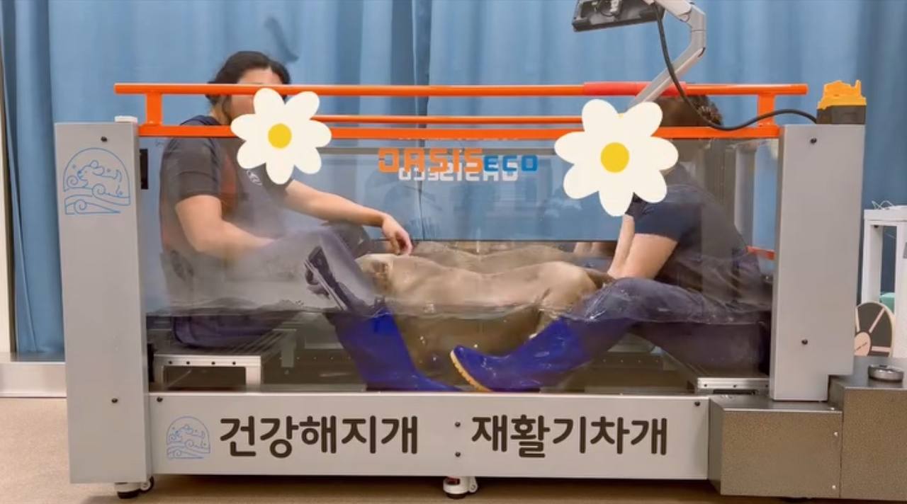 건강해지개 대표 이미지