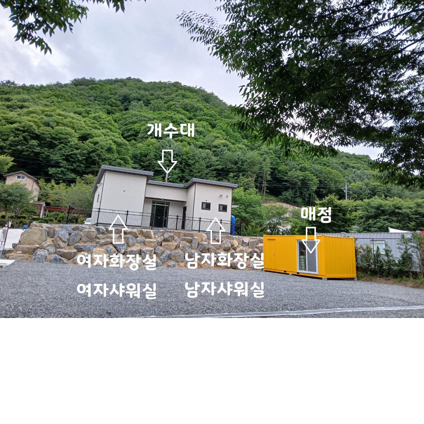 법흥계곡캠핑오늘
