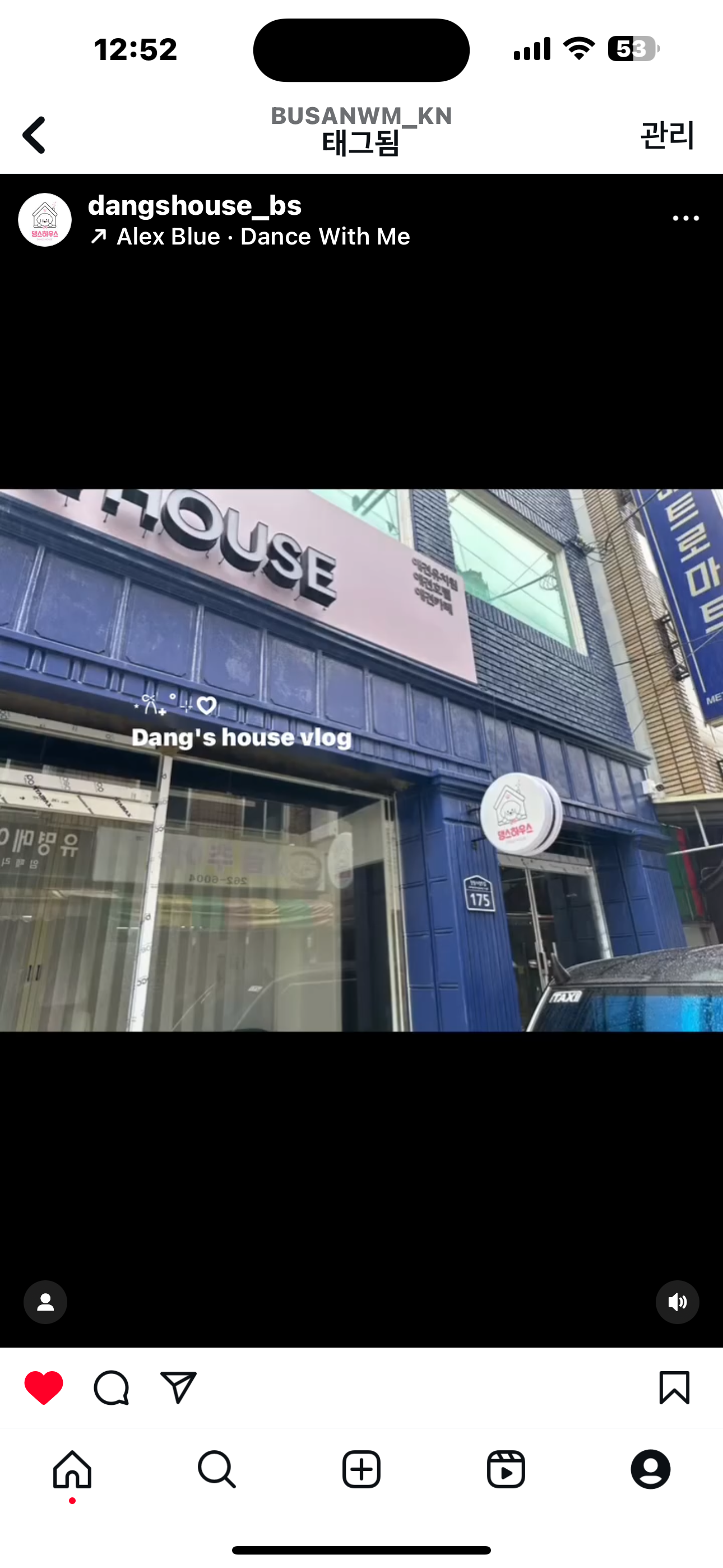 사하구애견미용댕스살롱