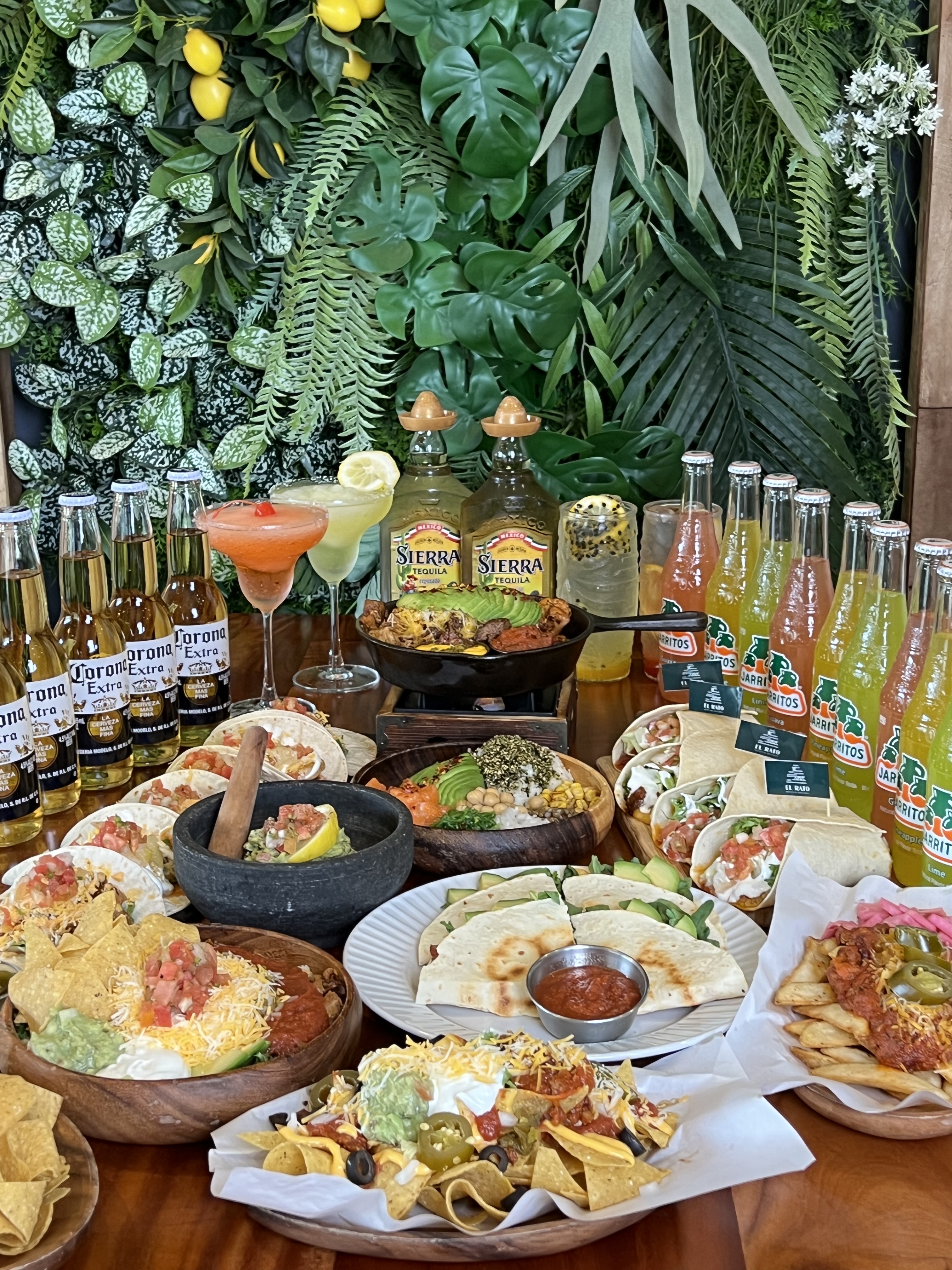 엘라토 경주