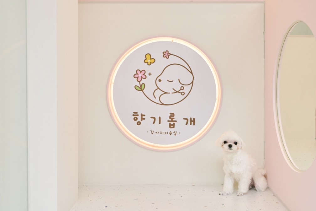 향기롭개 대표 이미지