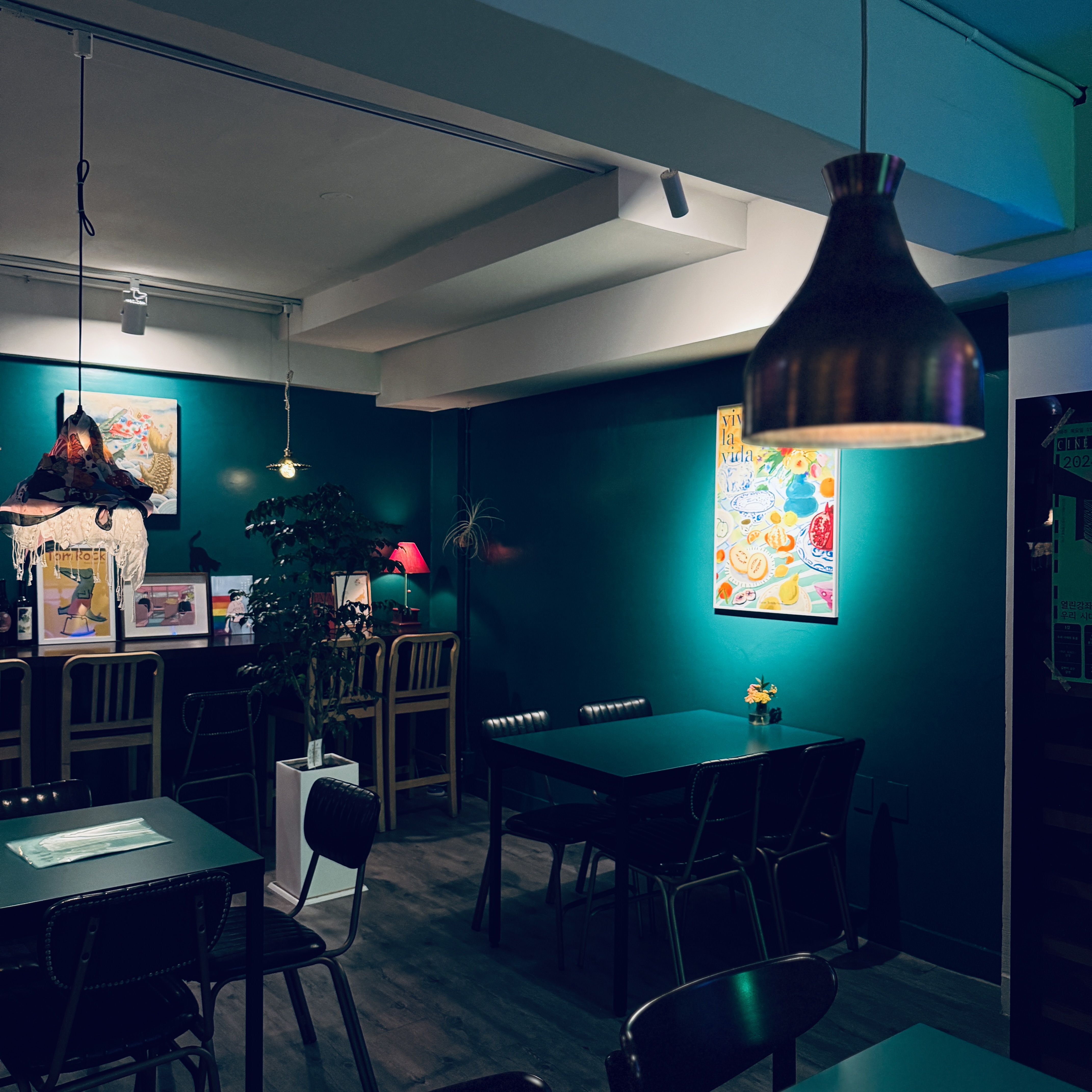 친친악어 대표 이미지