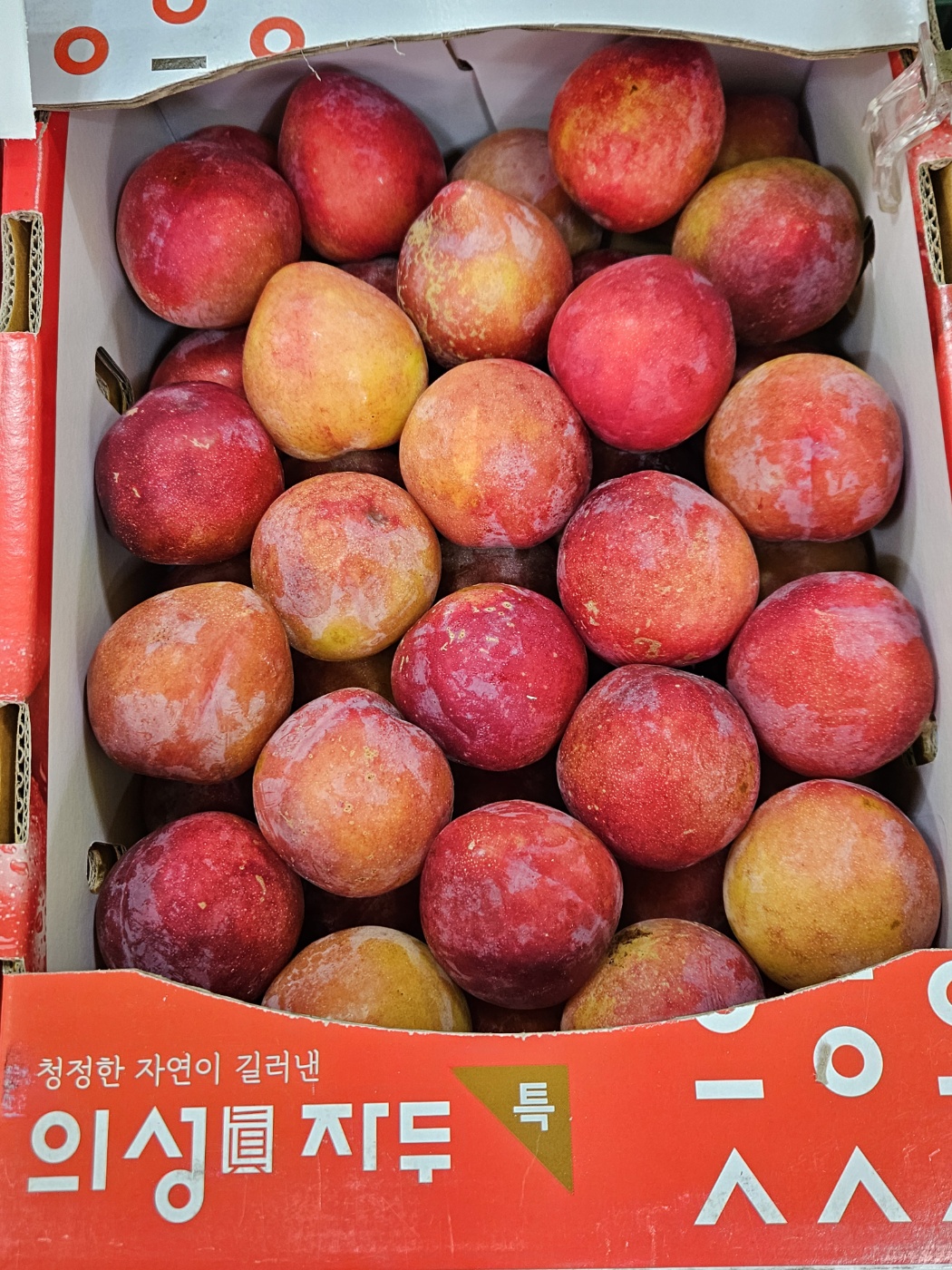수정이네 과일야채