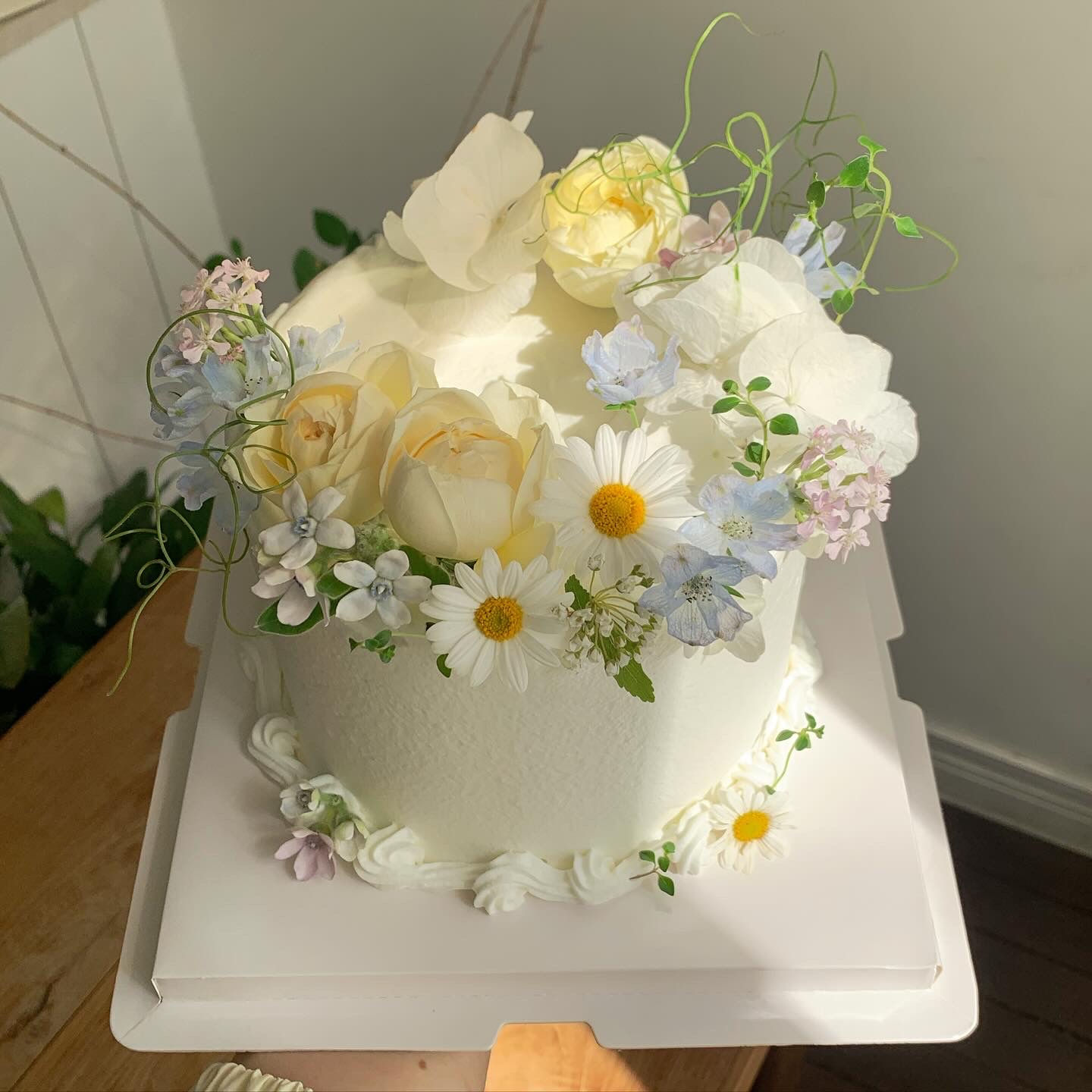 제뉴어리피크닉 대표 이미지