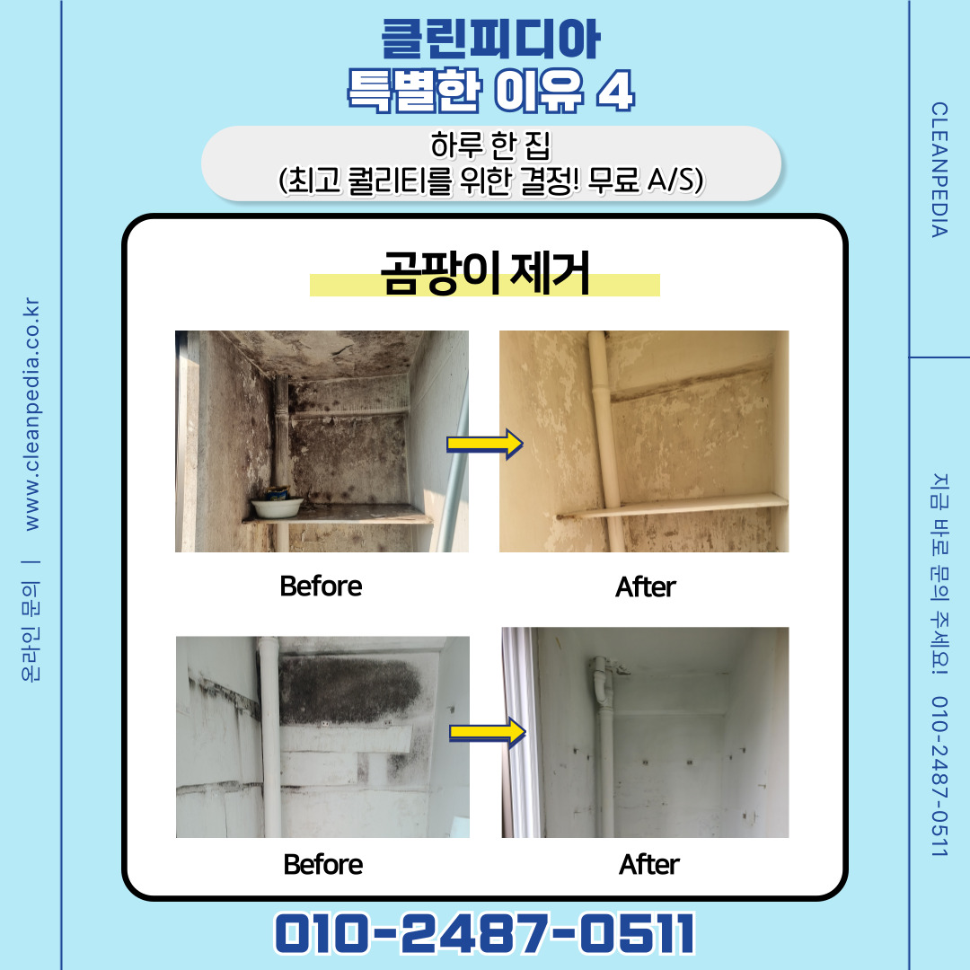 입주청소 클린피디아 강서점