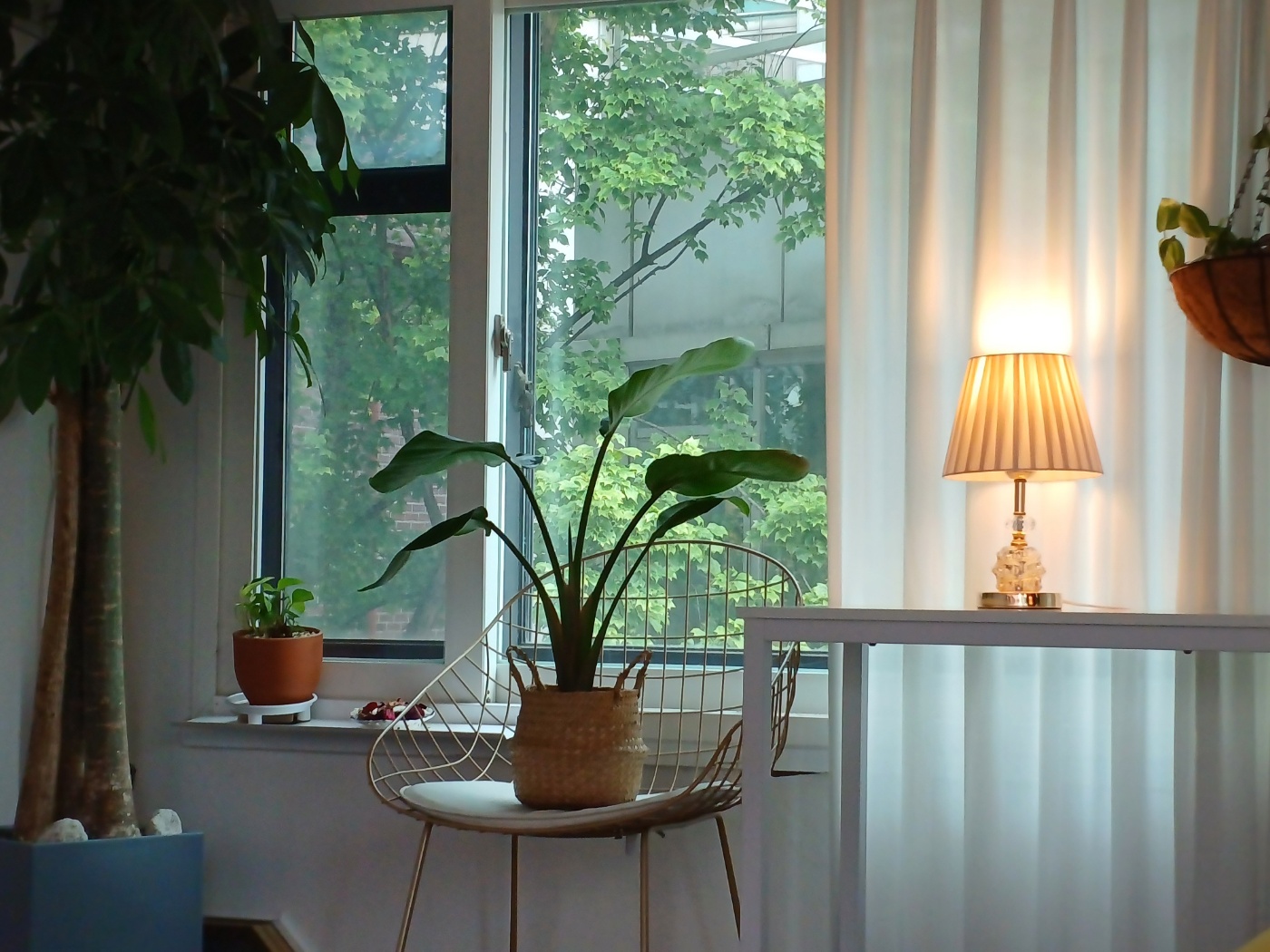 치유심리전문가그룹 상담센터 대표 이미지