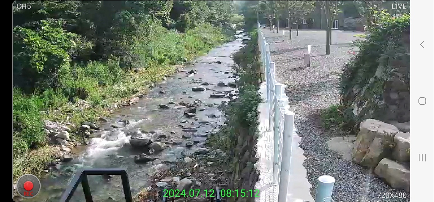 하월 오토캠핑장