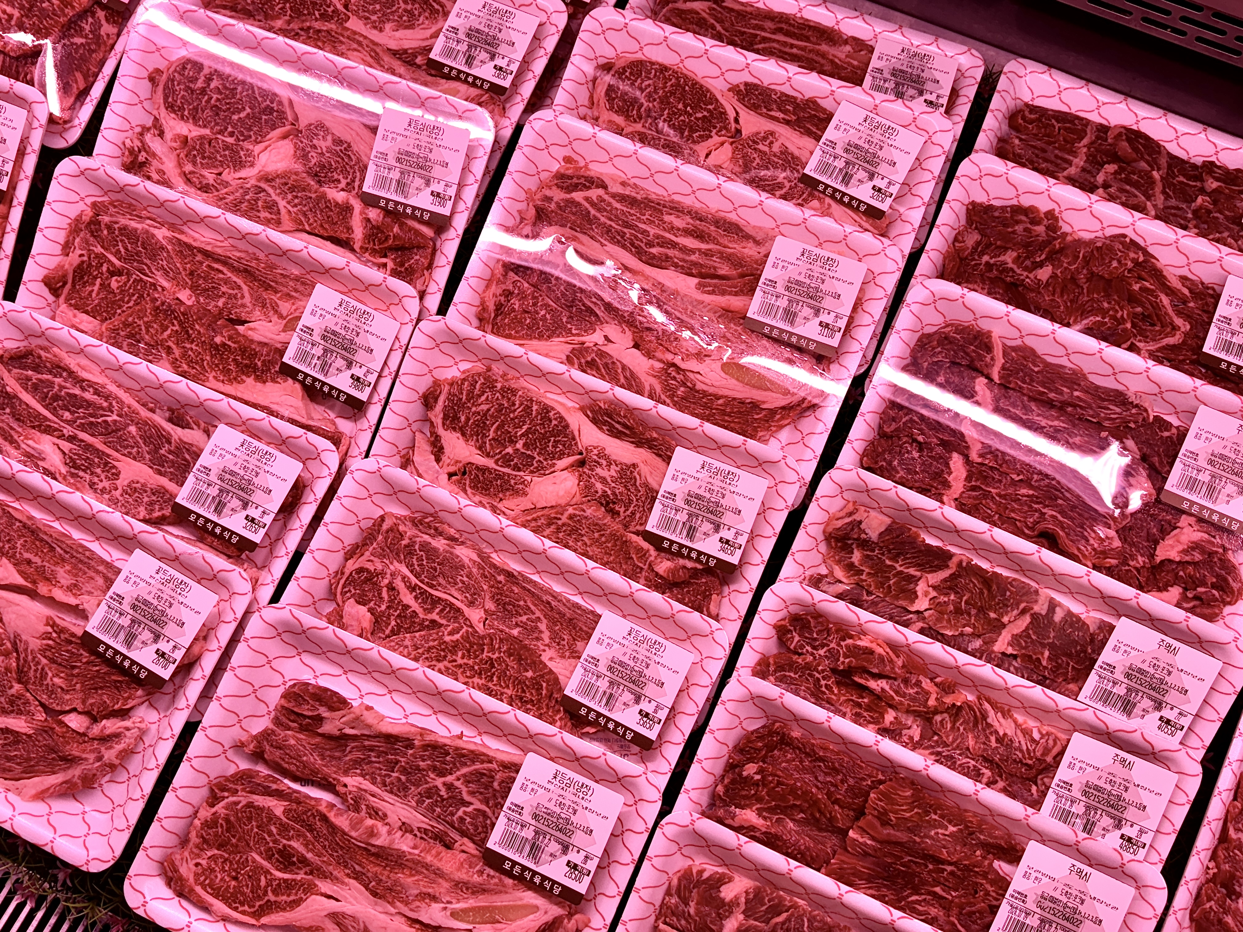 모든식육식당
