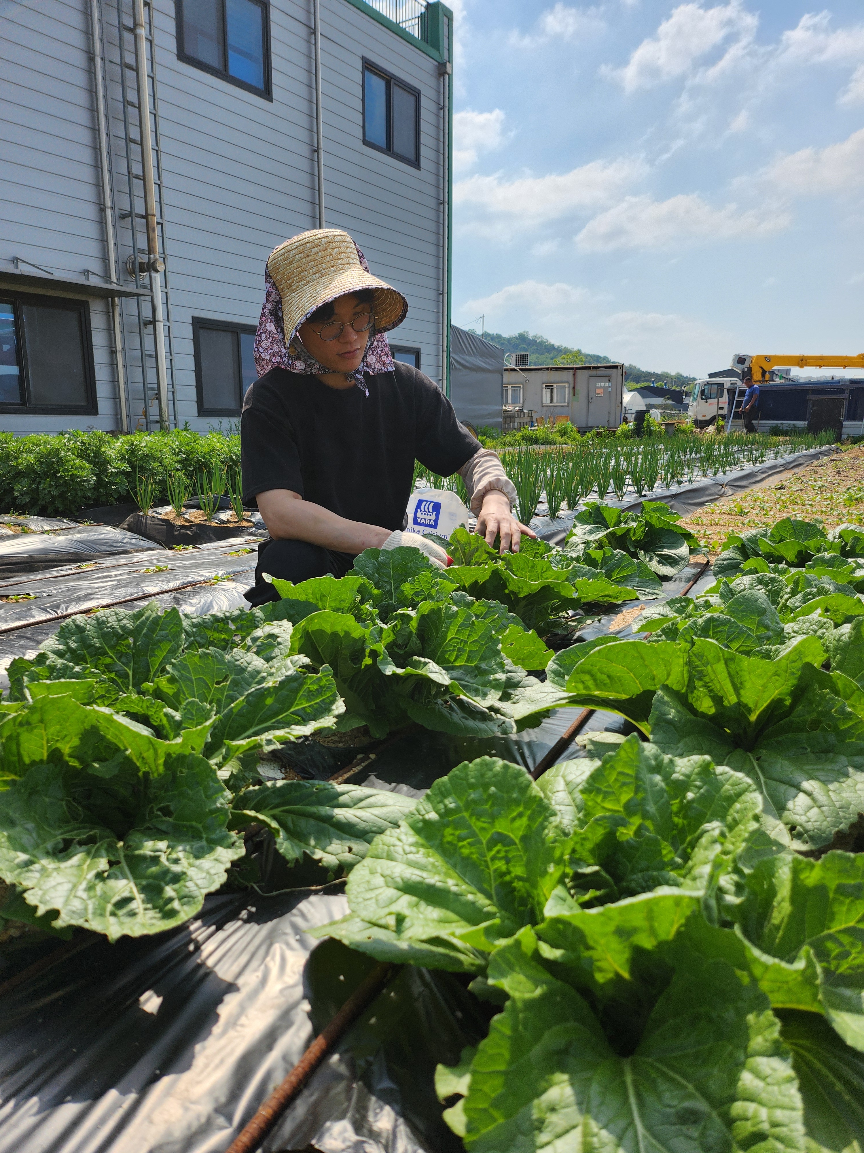제주살이 광교 대표 이미지