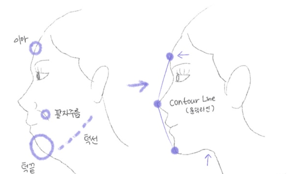 필보레의원 대전유성