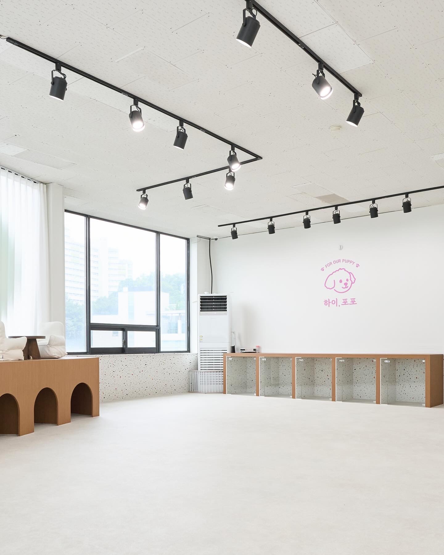 하이, 포포 대표 이미지