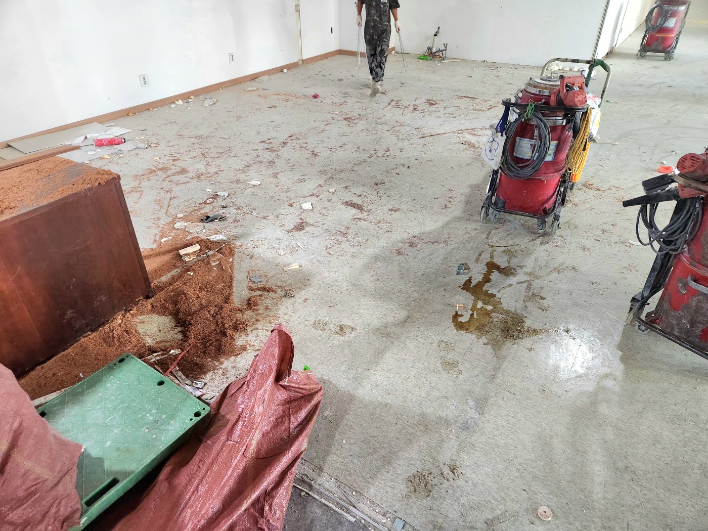 DS벽지 대표 이미지