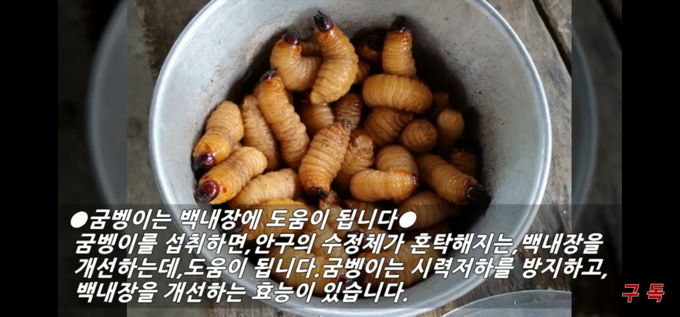 추월산굼벵이농장