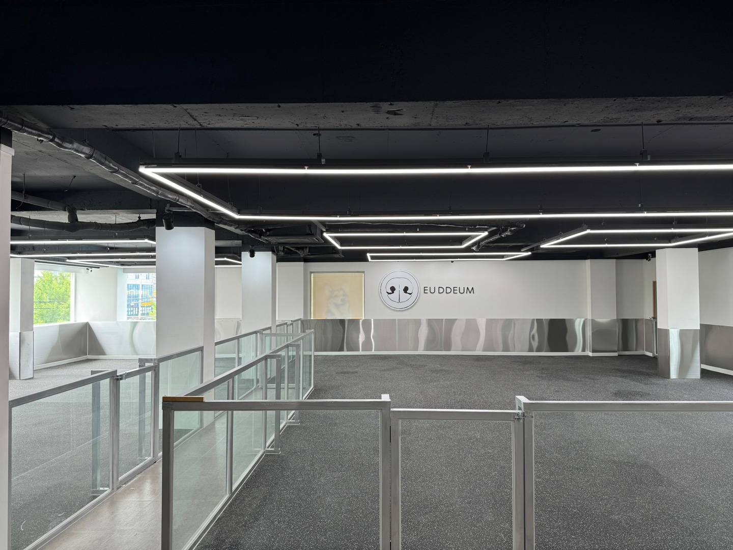 으뜸 반려견 유치원 대표 이미지