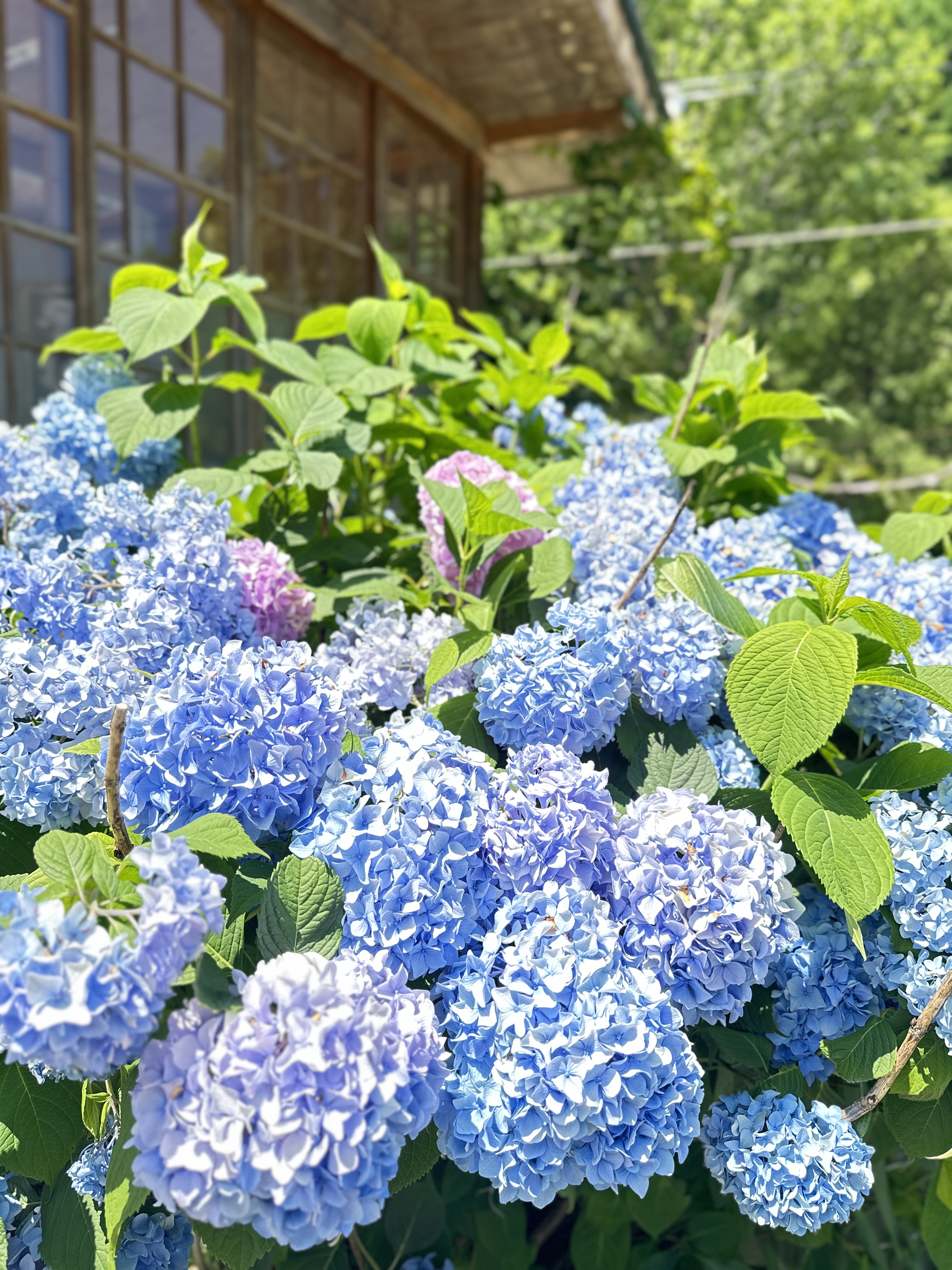 동산계곡식당 2