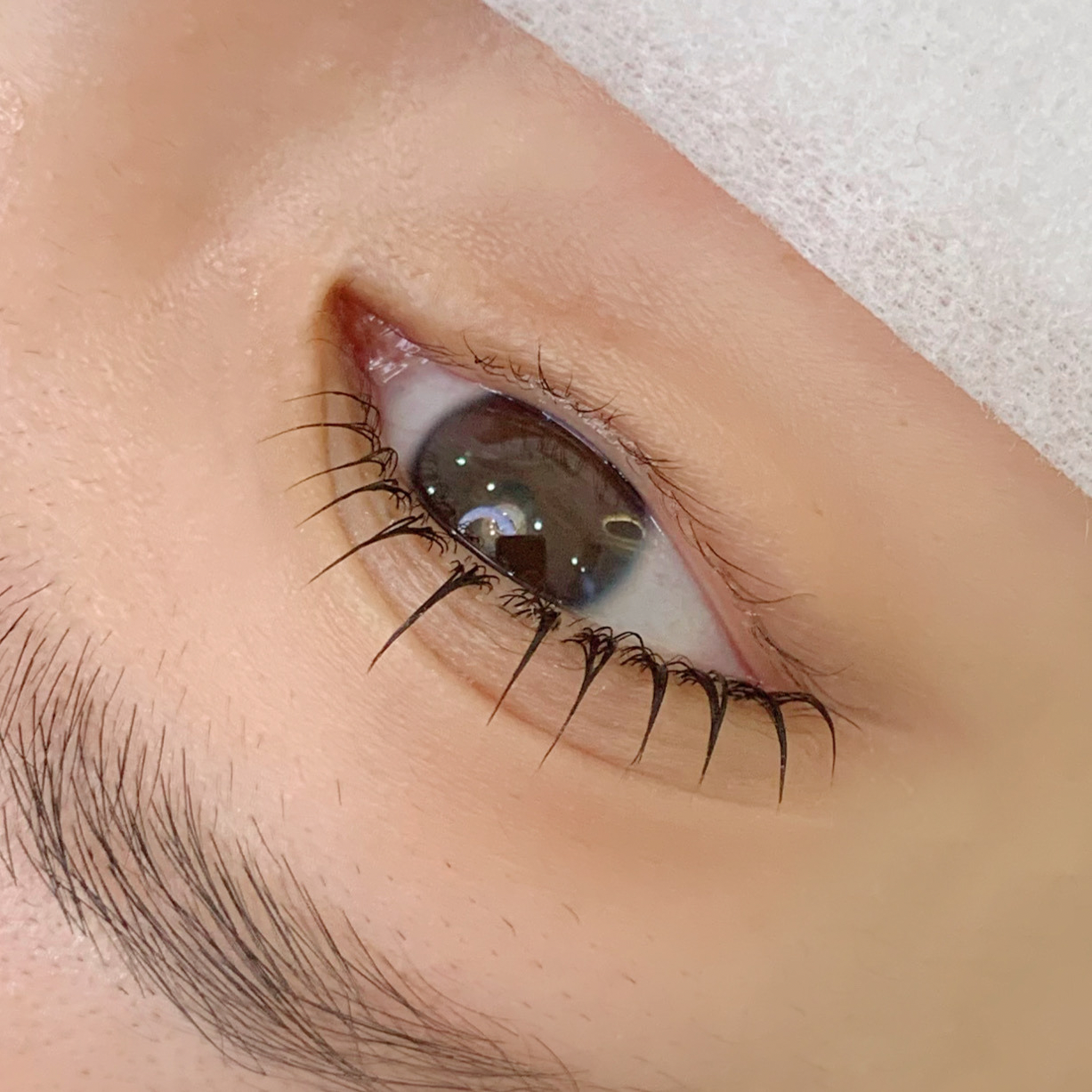 브로우 하다 대표 이미지