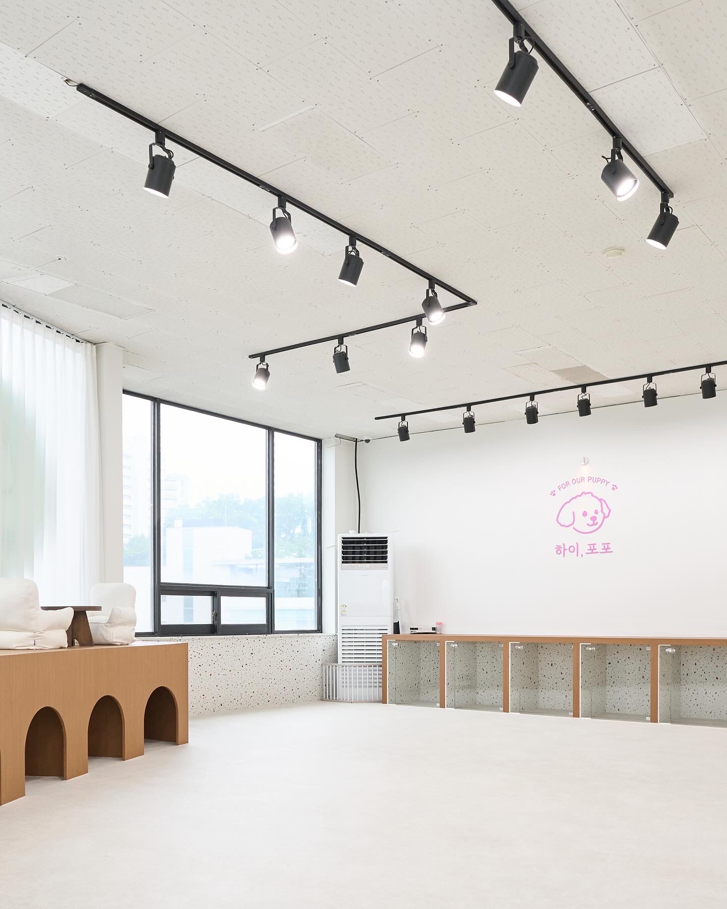 하이, 포포 대표 이미지