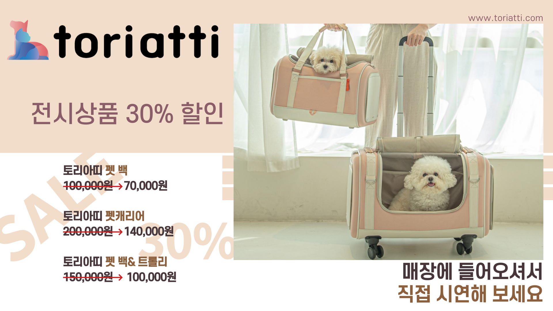 토리아띠