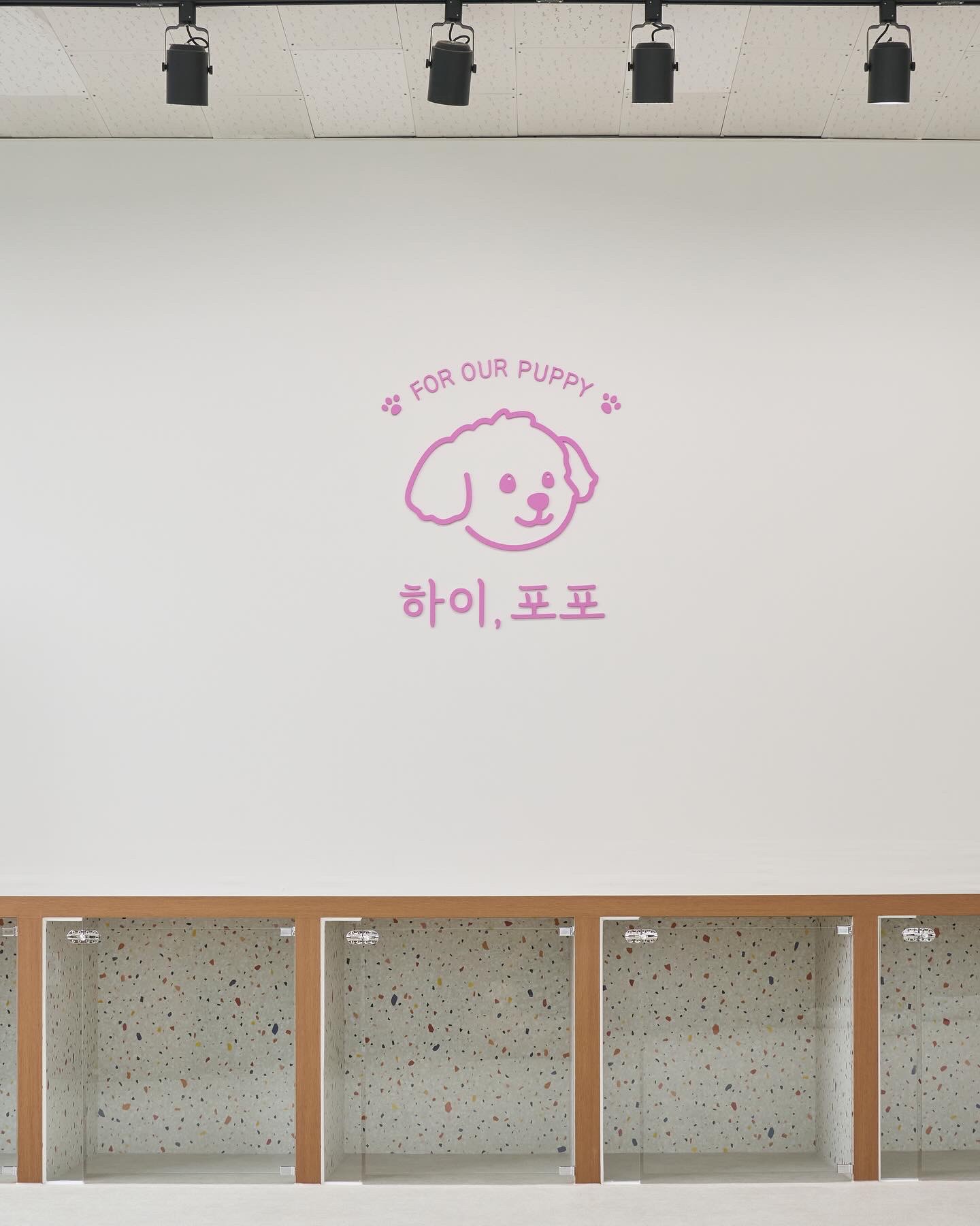 하이, 포포 대표 이미지