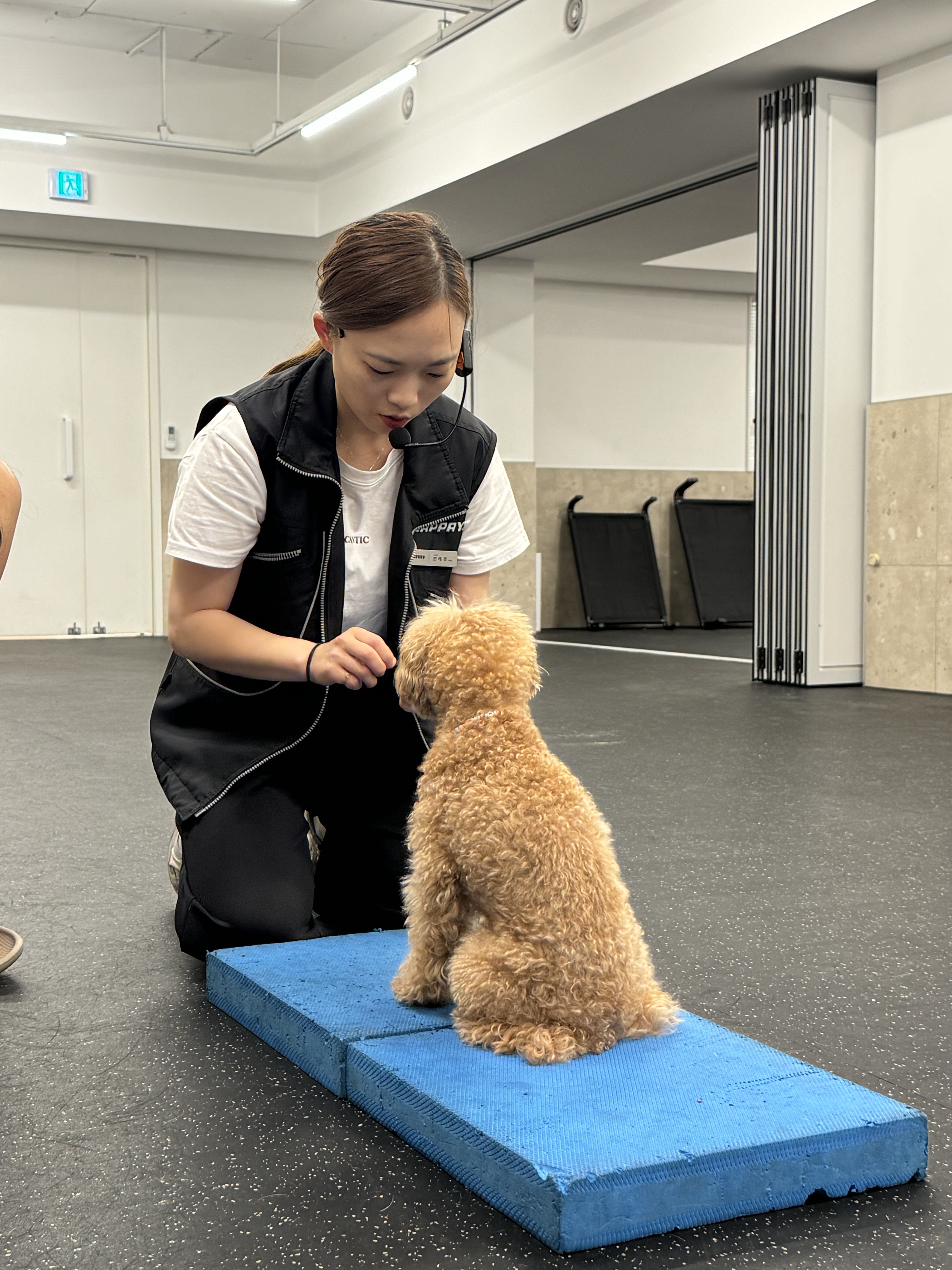 독투독 대표 이미지