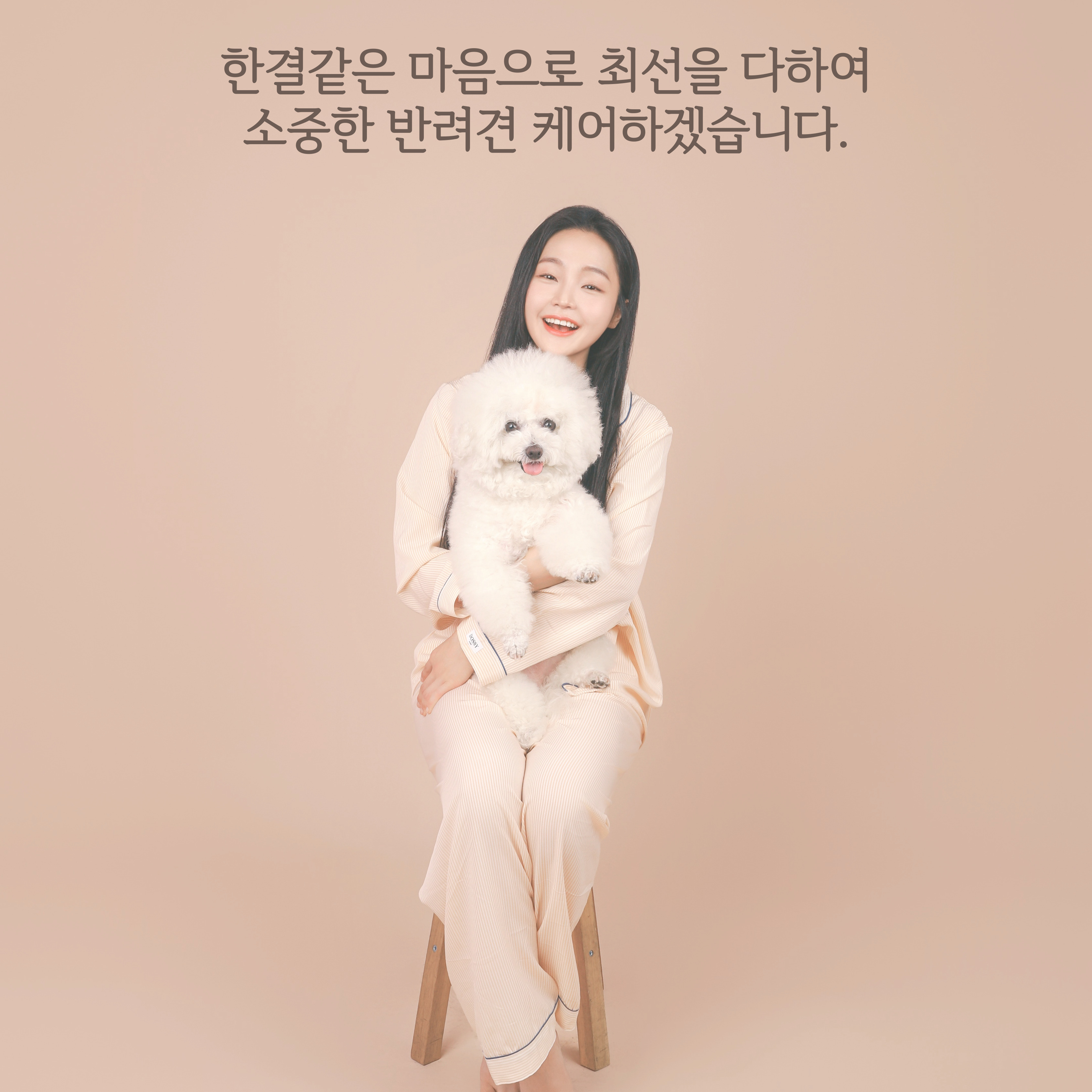 창원애견호텔 강아지유치원 애견미용 맘바이 창원점 대표 이미지