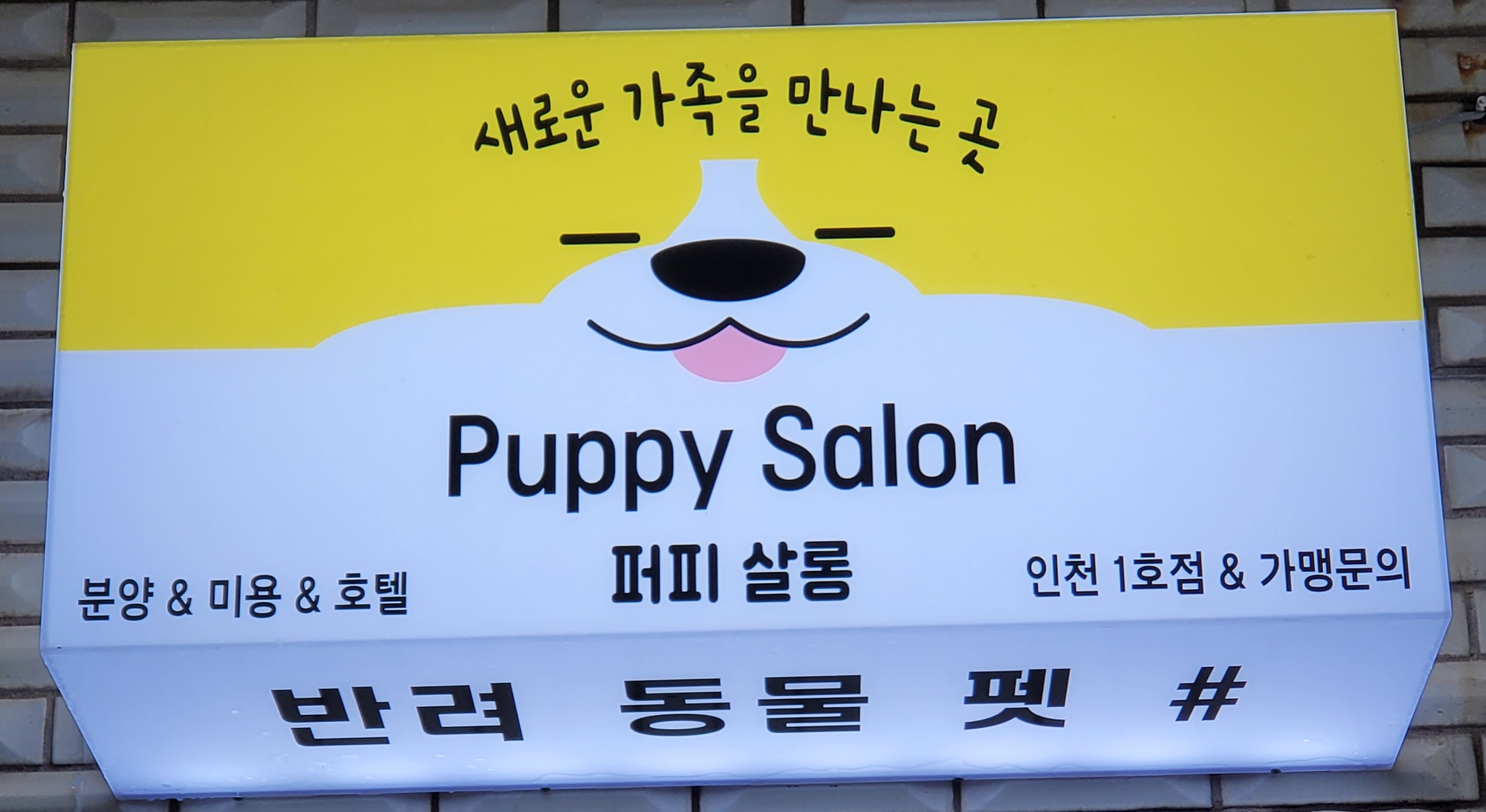 퍼피살롱