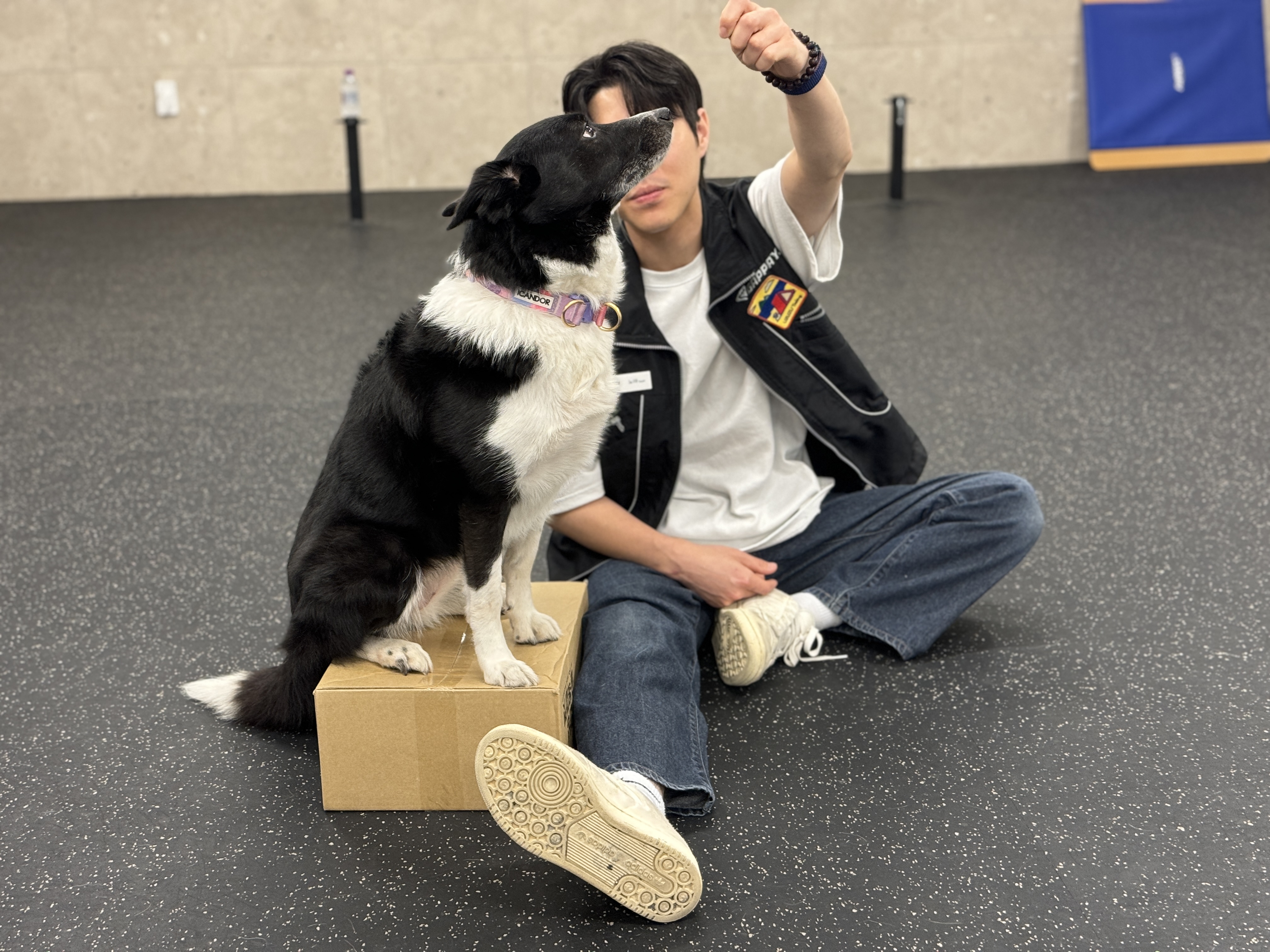 독투독 대표 이미지