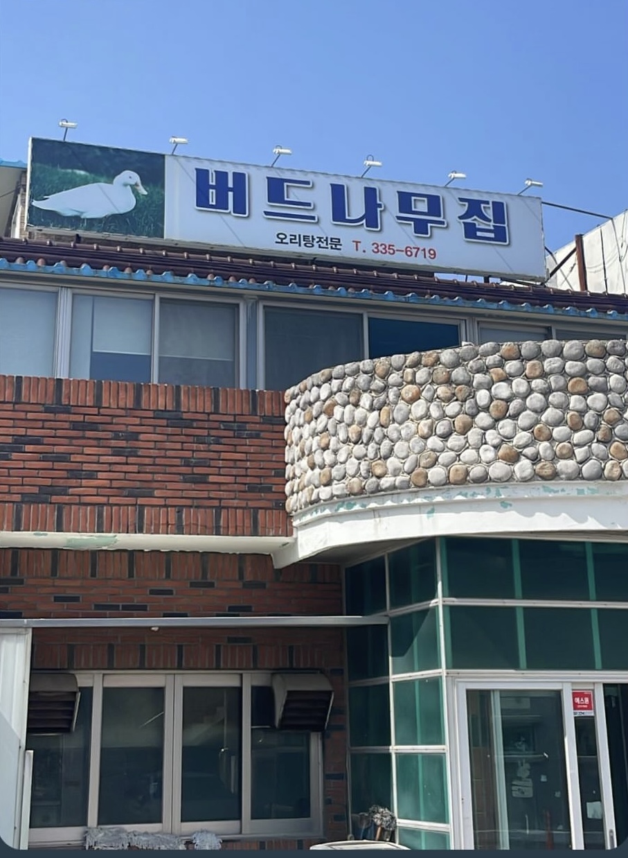 버드나무집