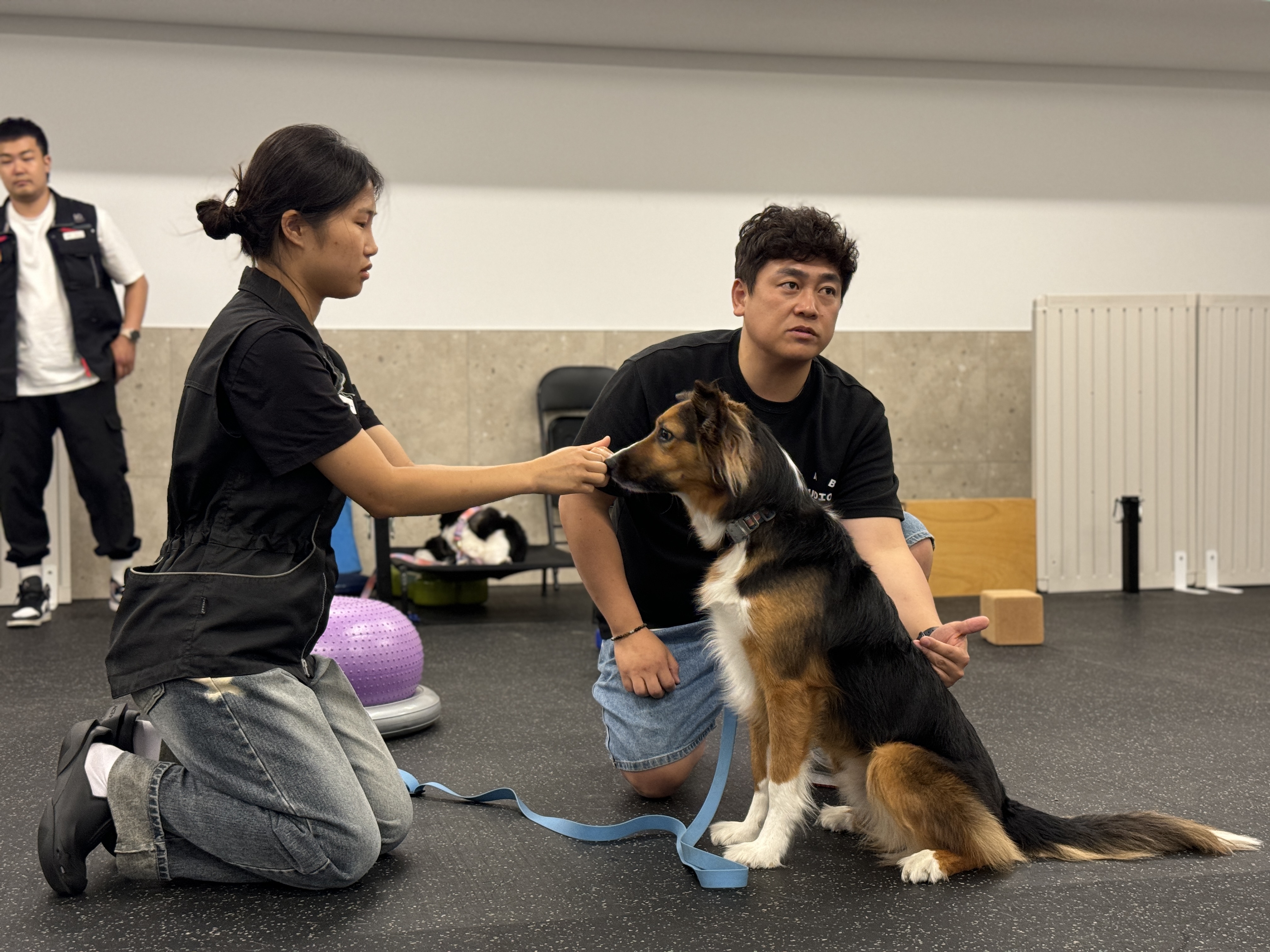 독투독 대표 이미지