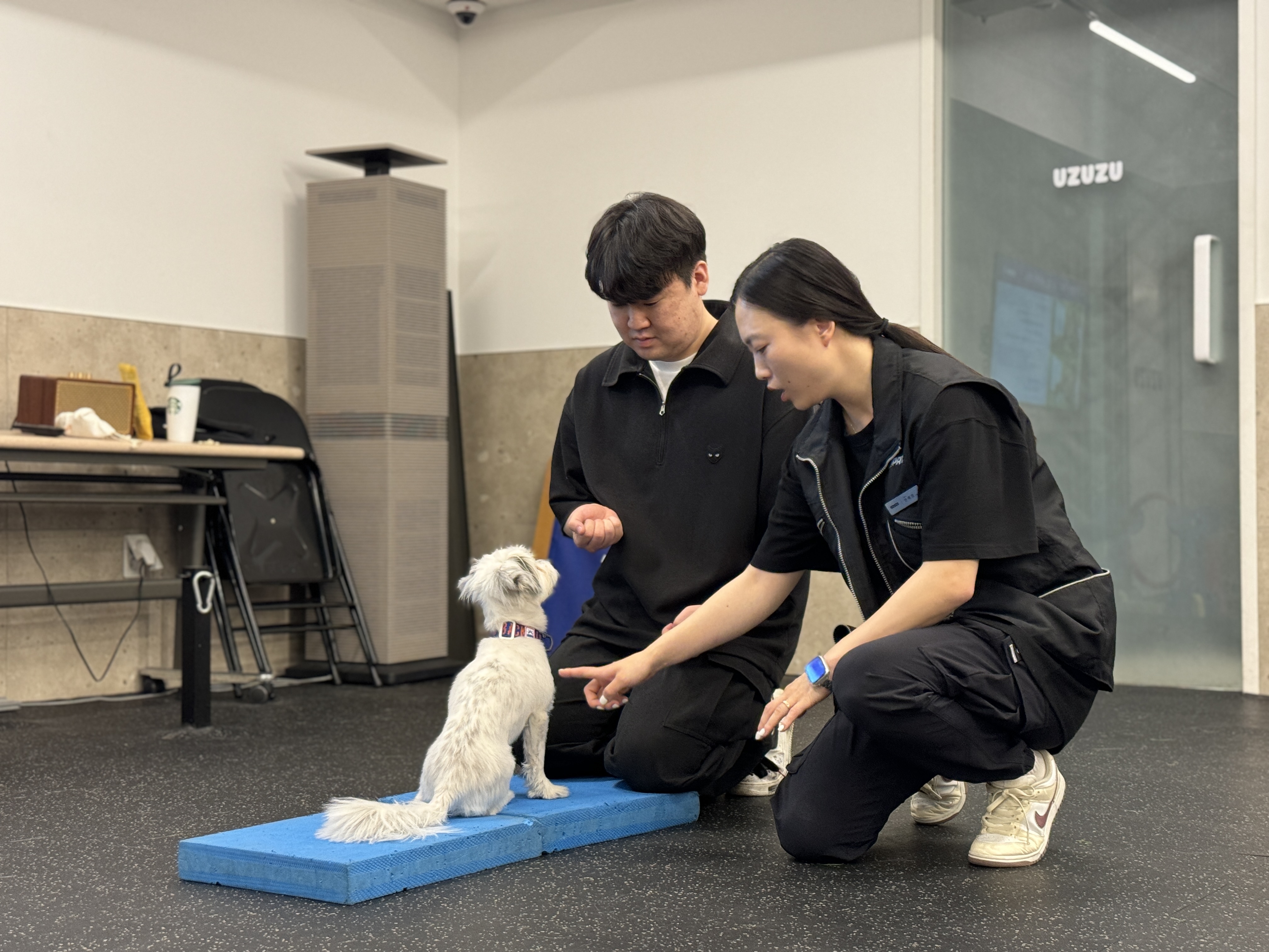 독투독 대표 이미지