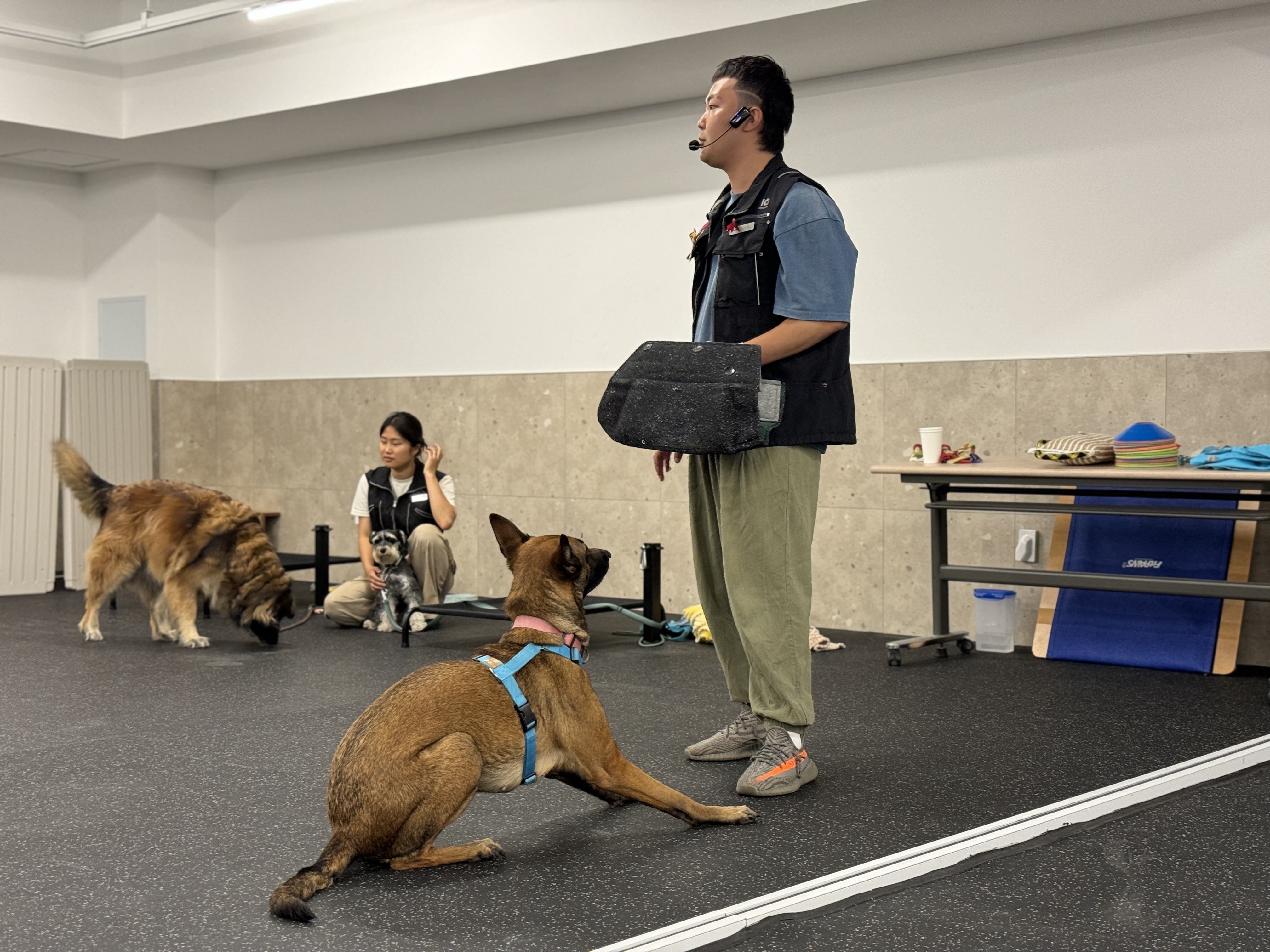 독투독 대표 이미지