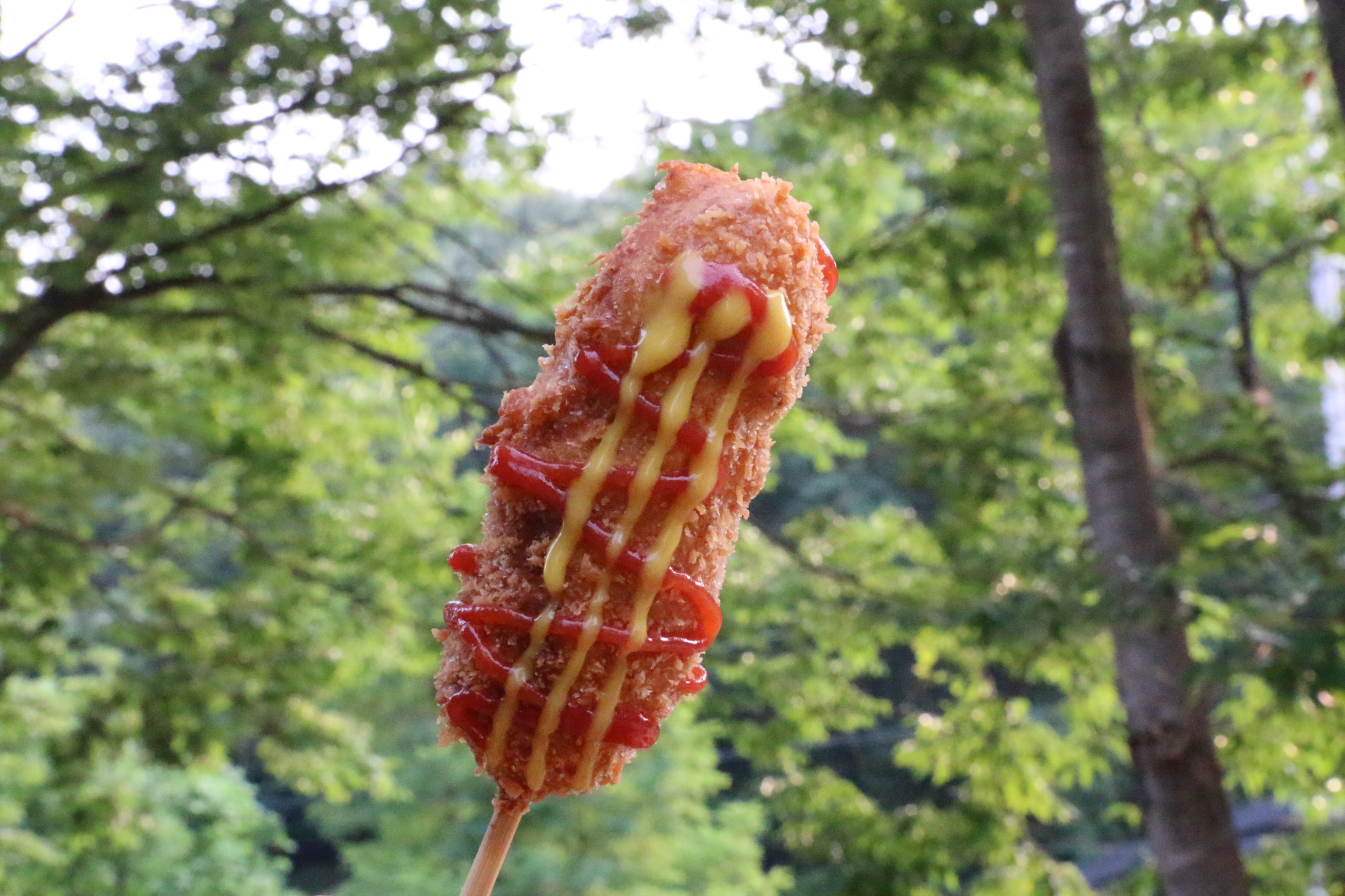 단양마늘핫도그
