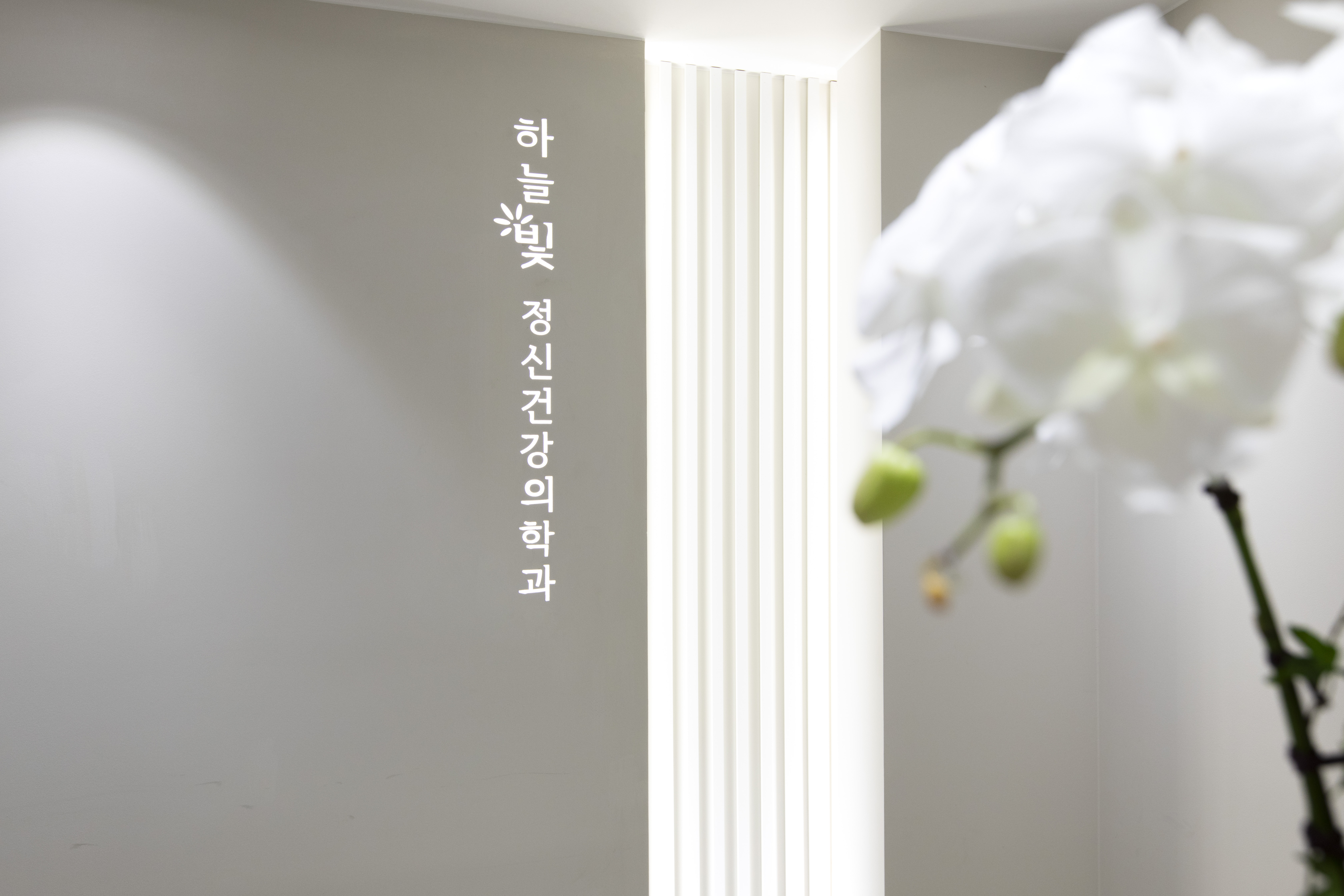 하늘빛정신건강의학과의원