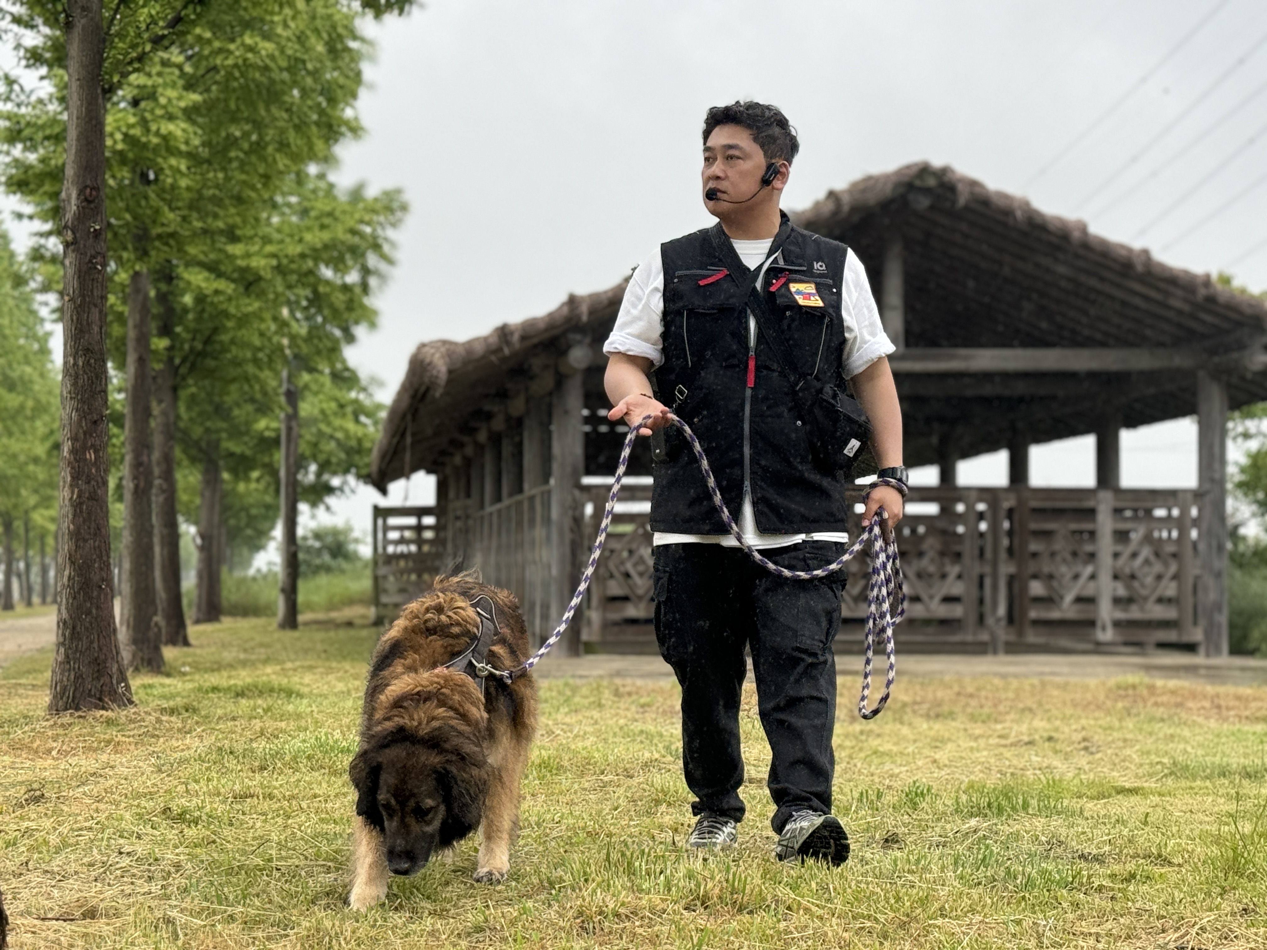 독투독 대표 이미지 - 강아지 교육 장면