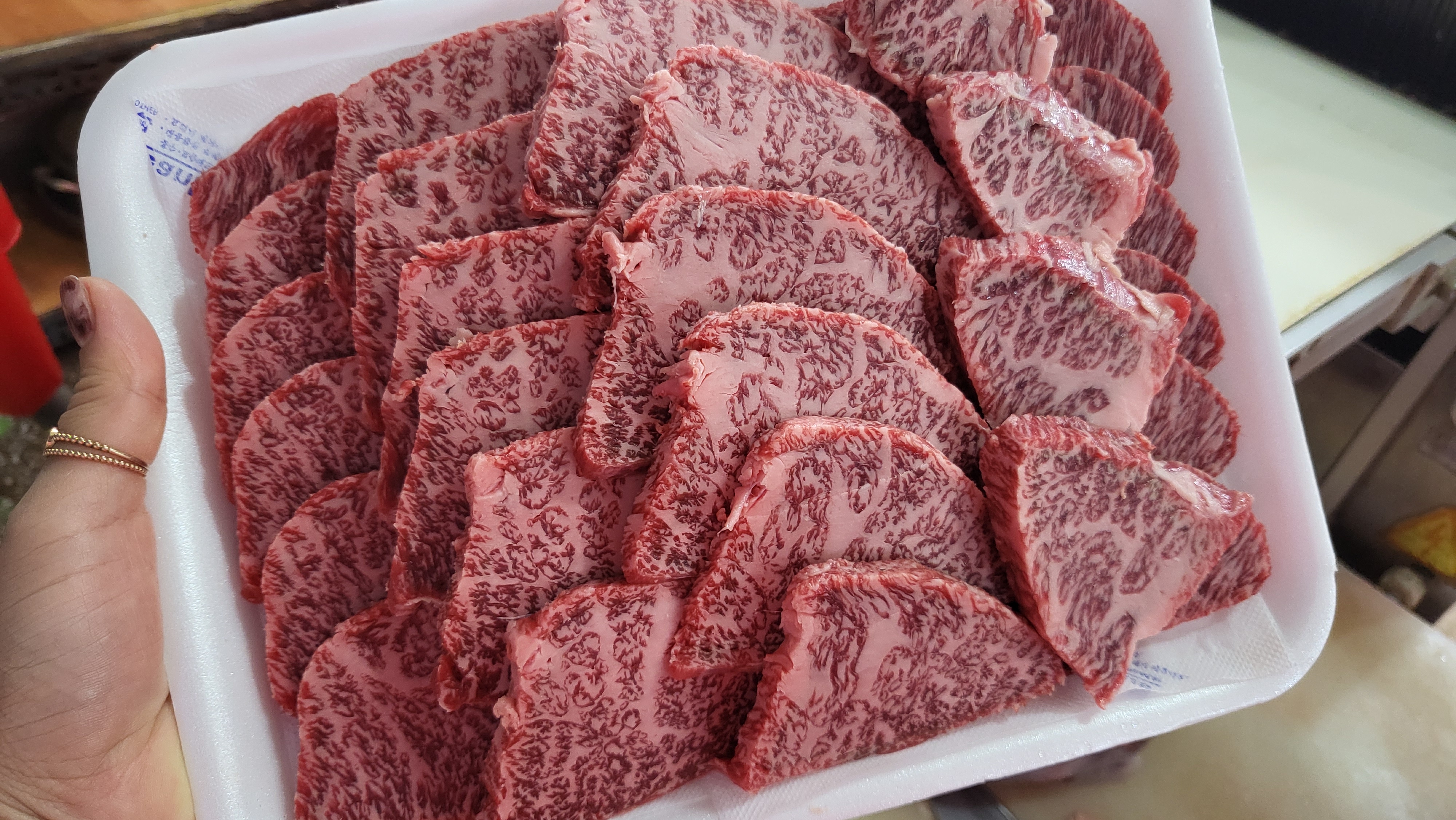 동화식육점