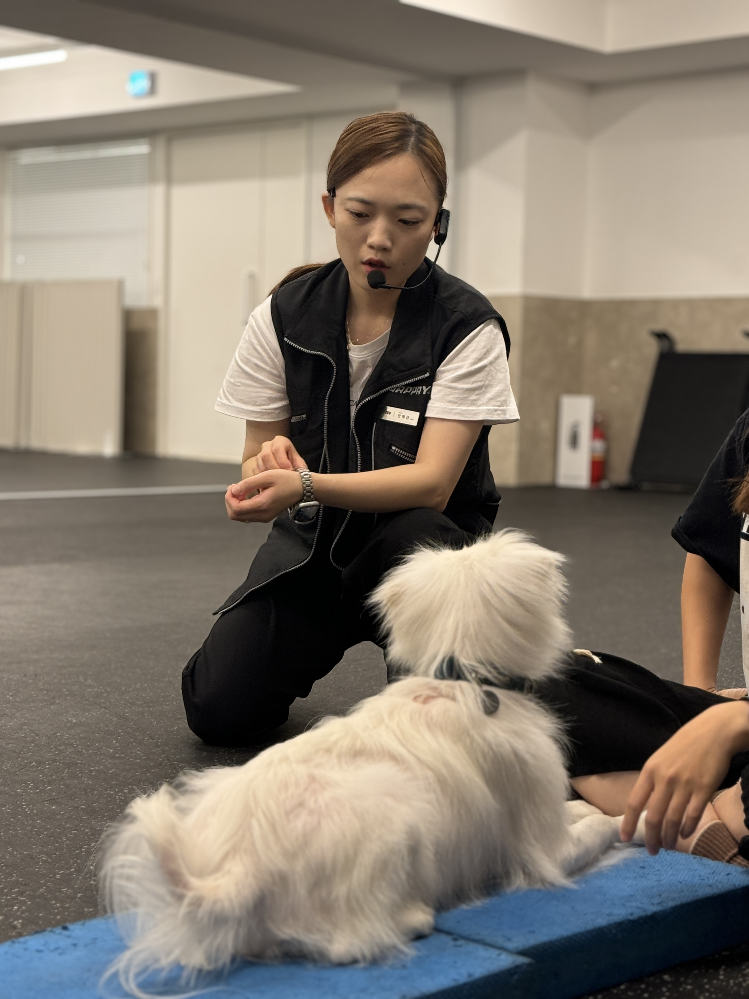 독투독 합정센터 대표 이미지