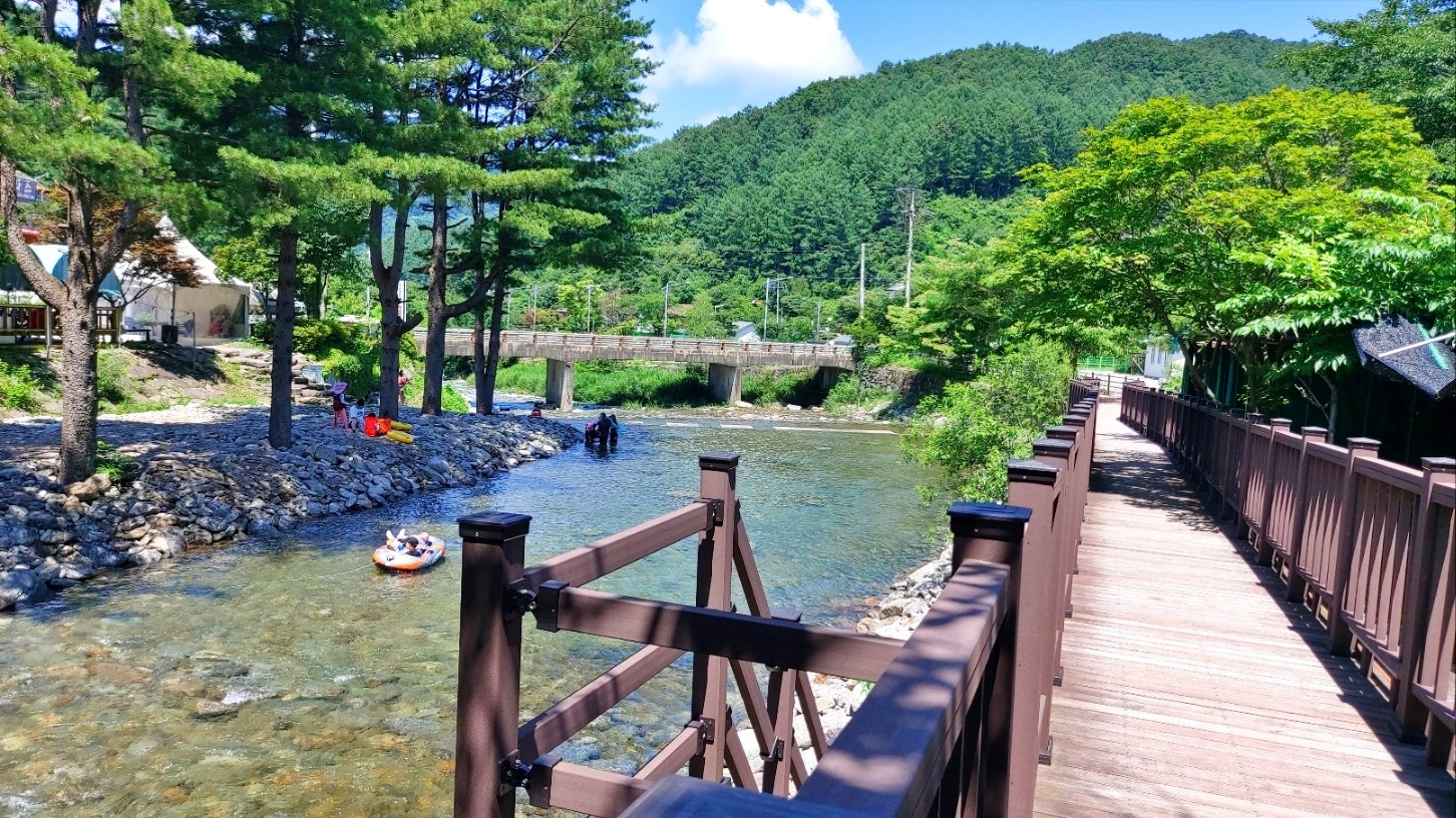 유명산 들꽃여울 캠핑장