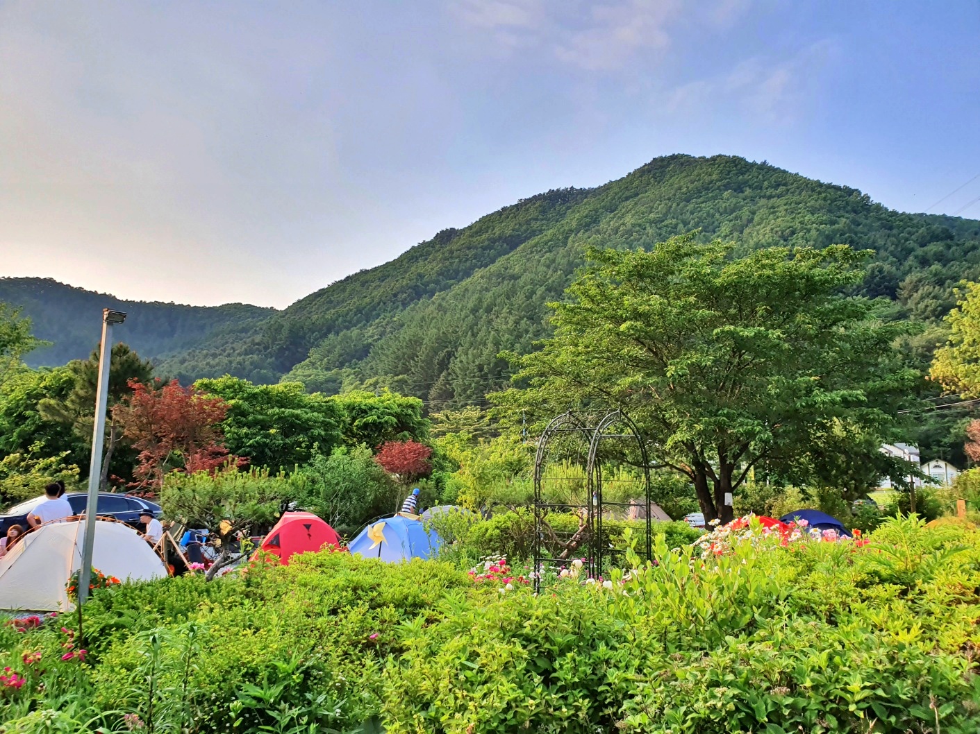 유명산 들꽃여울 캠핑장