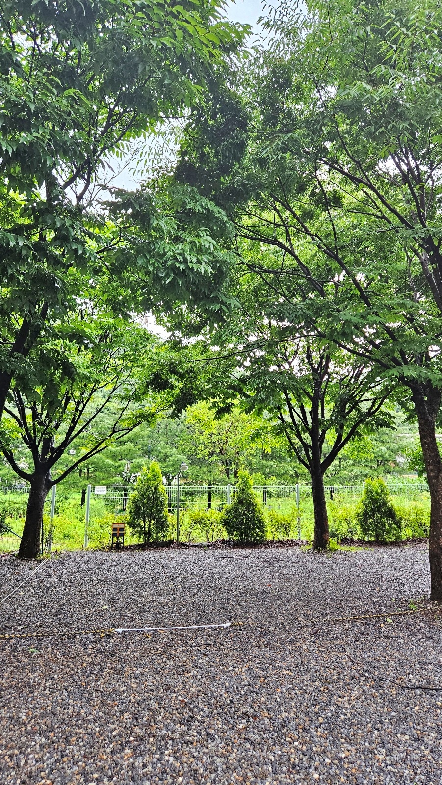 유명산 들꽃여울 캠핑장