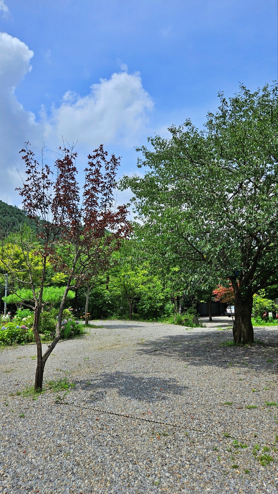 유명산 들꽃여울 캠핑장