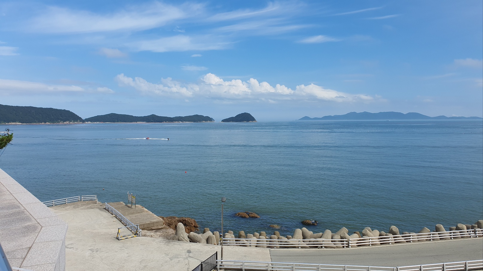 모아니 대표 이미지