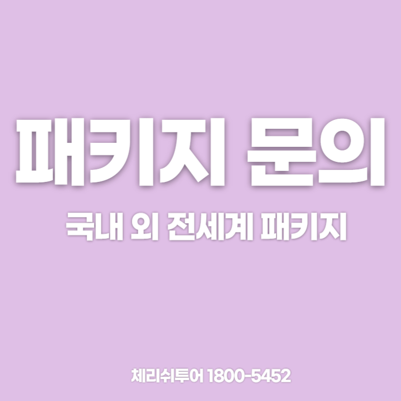 체리쉬투어 대구지점