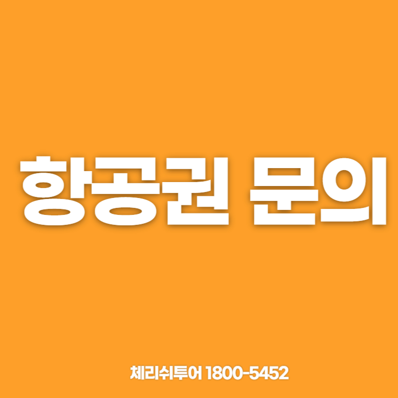체리쉬투어 대구지점