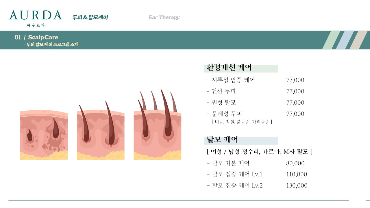아우르다