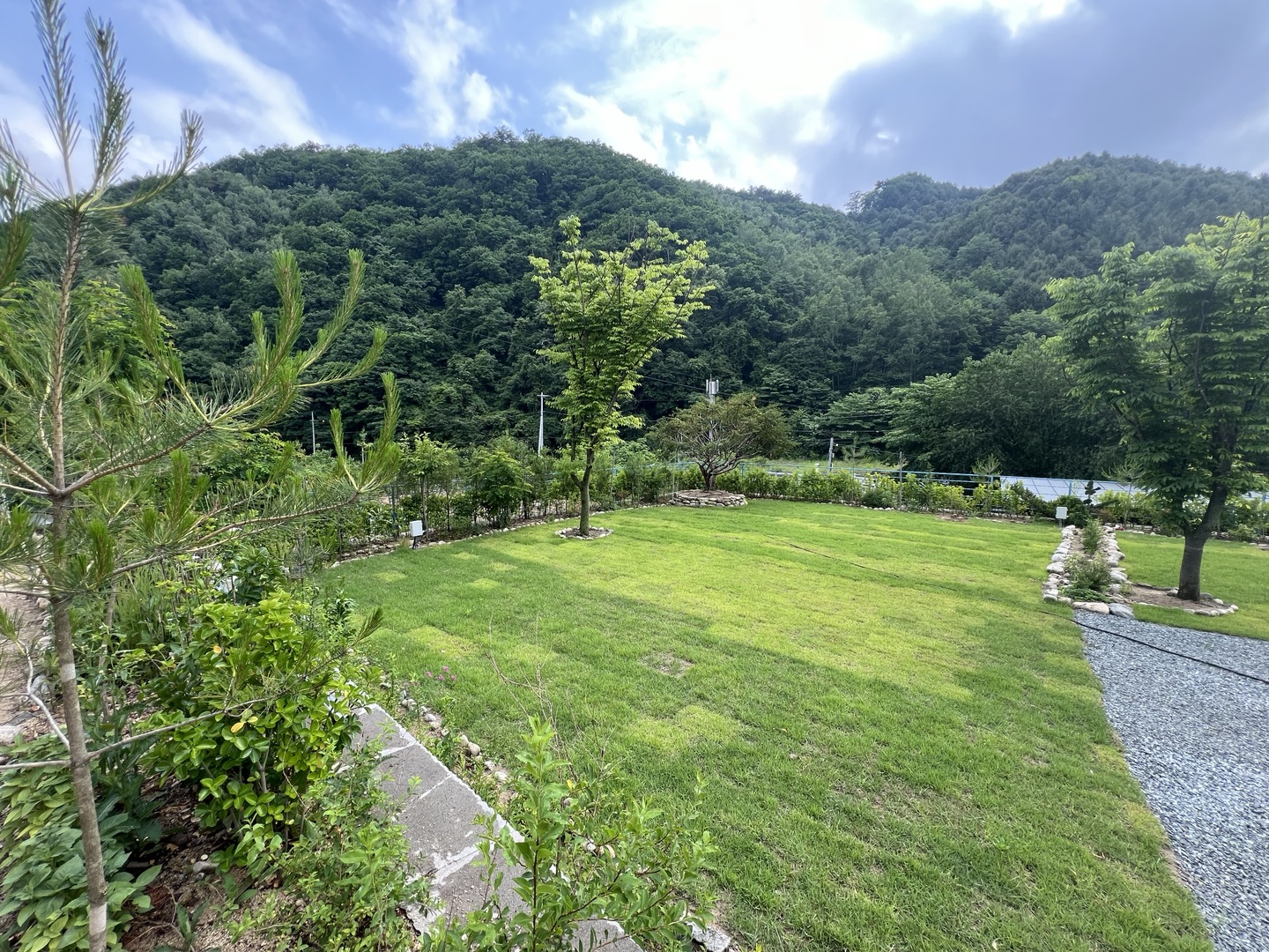 사진 3