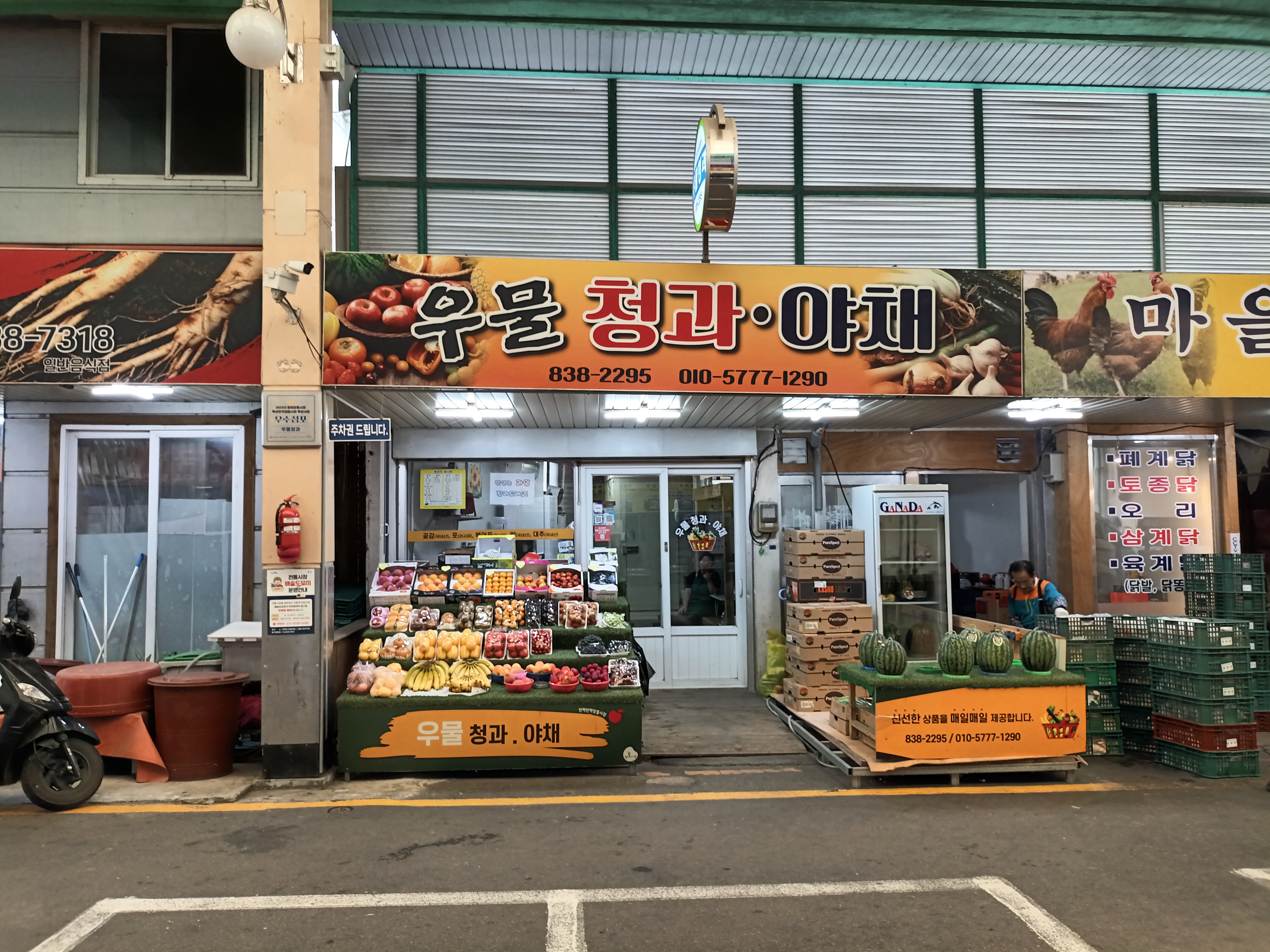 우물청과야채
