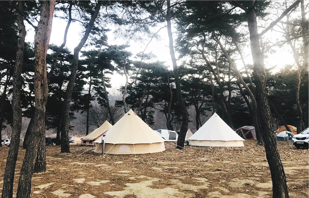 후평숲캠핑장